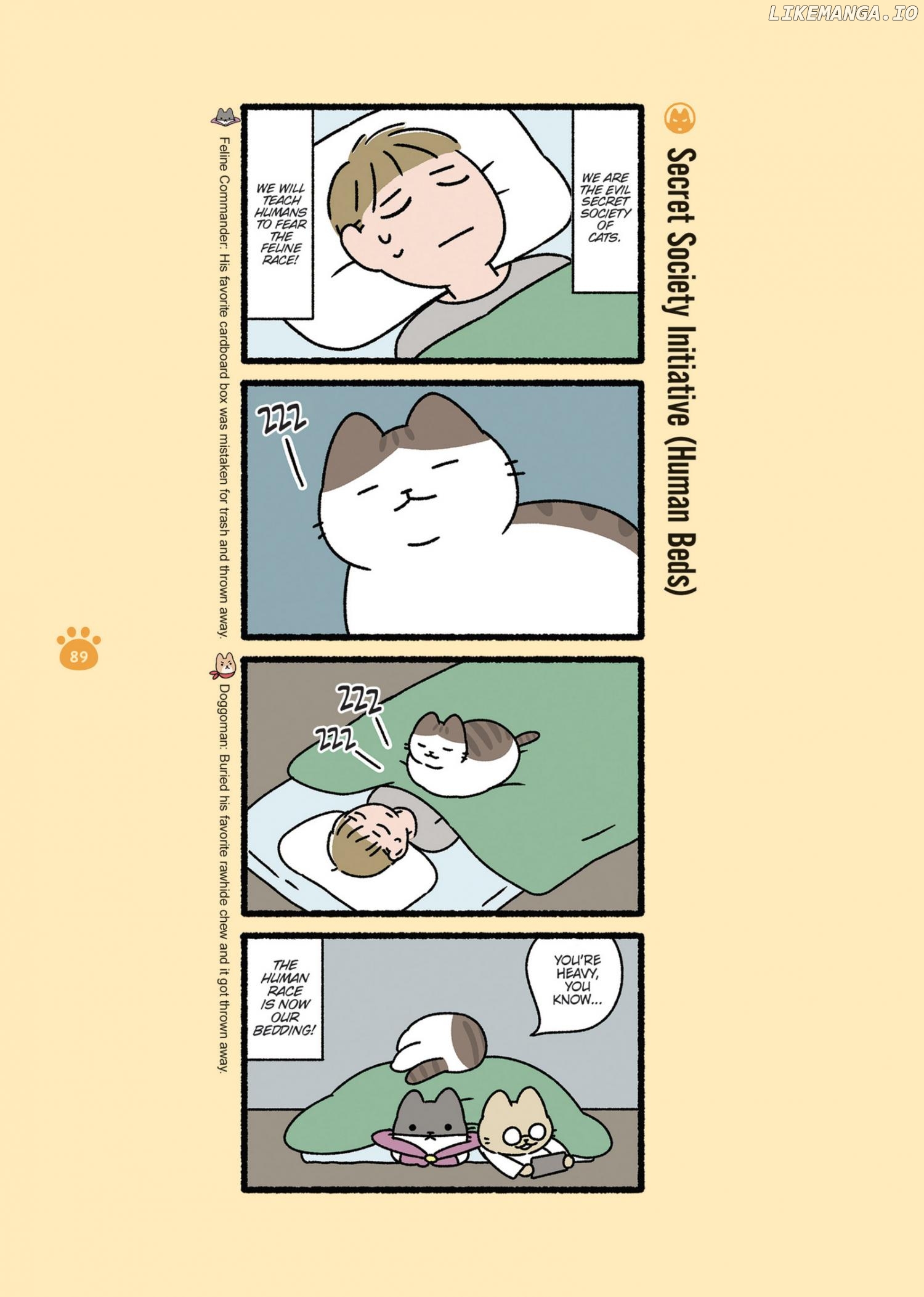 Aku no Himitsu Soushiki Neko Chapter 9 - page 3