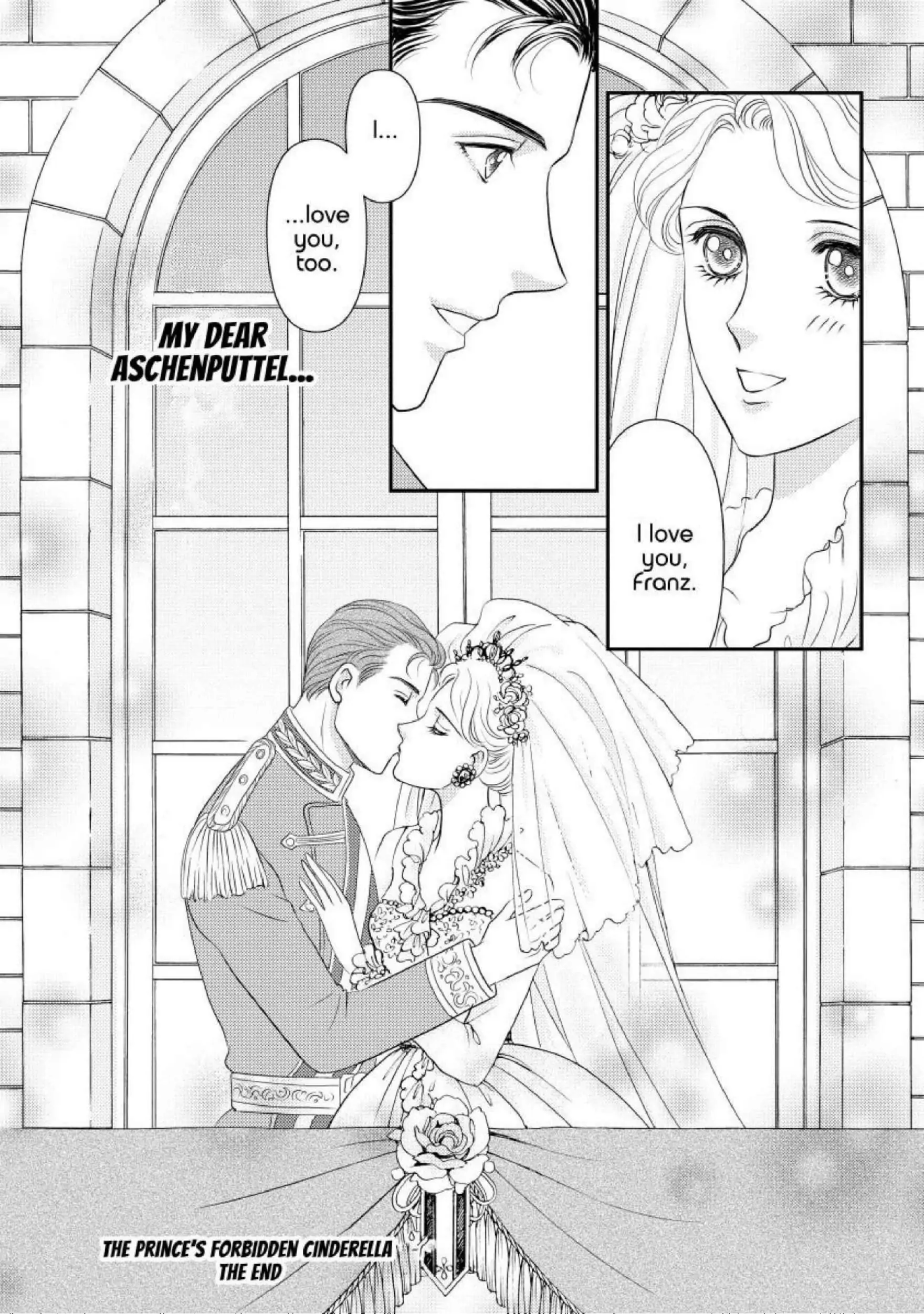 The Prince's Forbidden Cinderella Chapter 12 - page 15