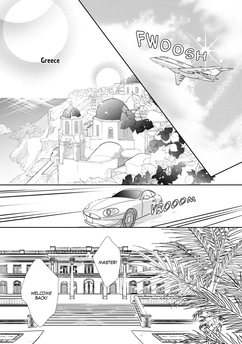 The Greek Tycoon's Revenge Chapter 11 - page 9