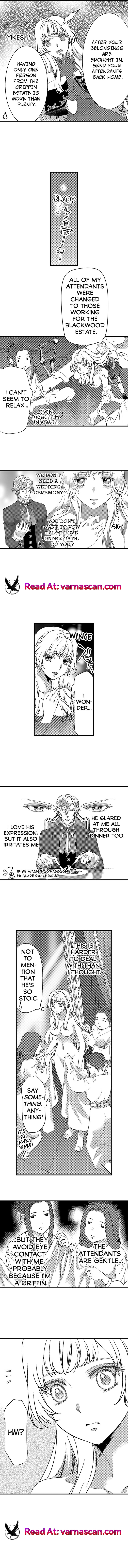 We Married for Politics but We Fell in Love Chapter 3 - page 3