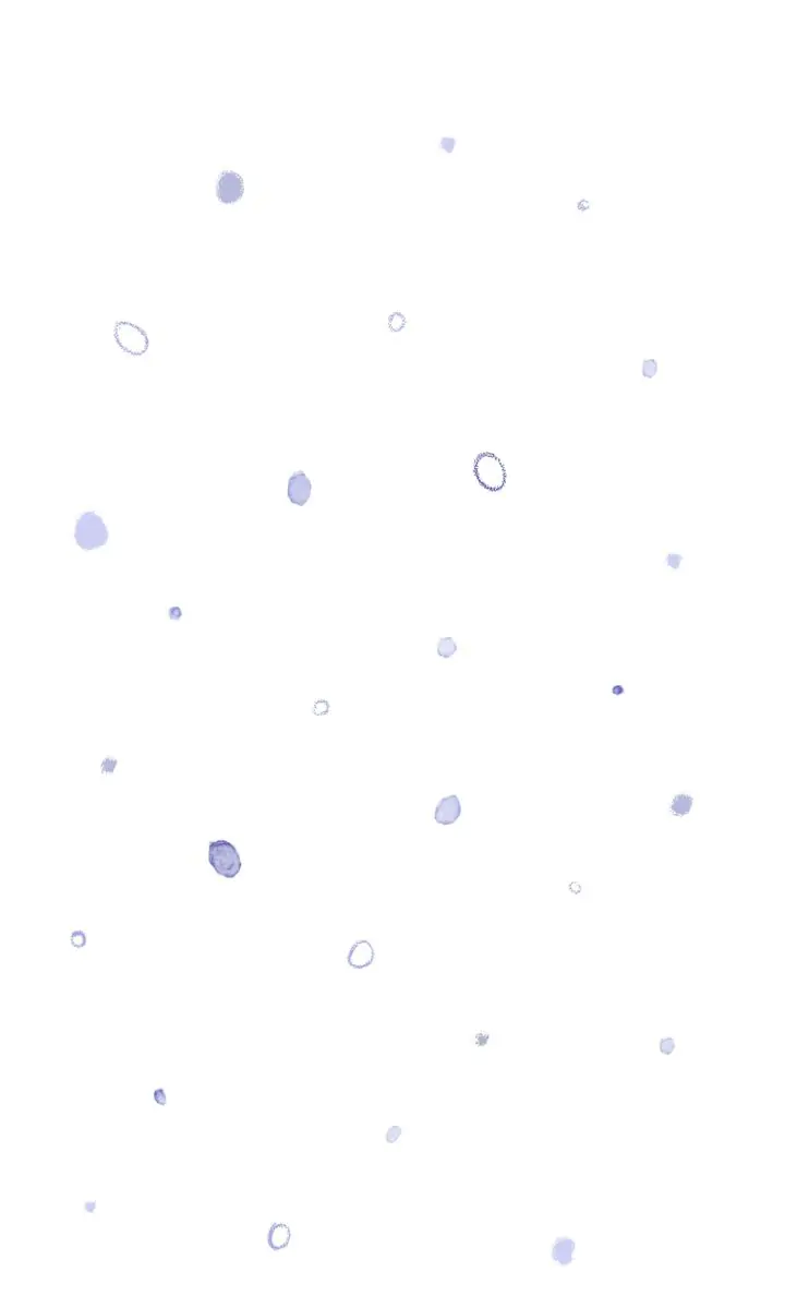 The Old Man and the Snow Sprite Chapter 7 - page 2