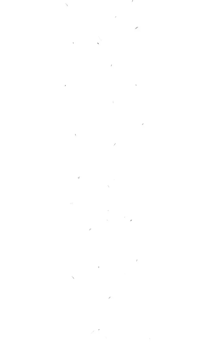 The Old Man and the Snow Sprite Chapter 8 - page 241