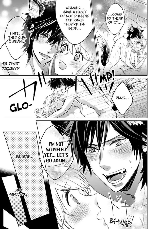 Okamisan Noha Ichidodake Deha Nukemasen Kemonotte Sugoi Chapter 3 - page 26