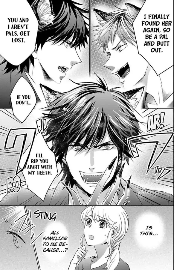 Okamisan Noha Ichidodake Deha Nukemasen Kemonotte Sugoi Chapter 3 - page 8