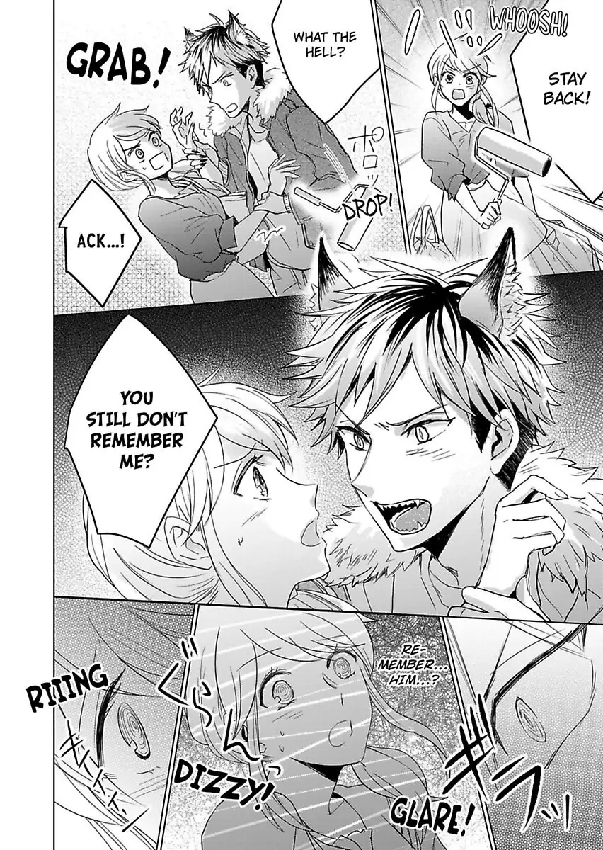 Okamisan Noha Ichidodake Deha Nukemasen Kemonotte Sugoi Chapter 4 - page 27