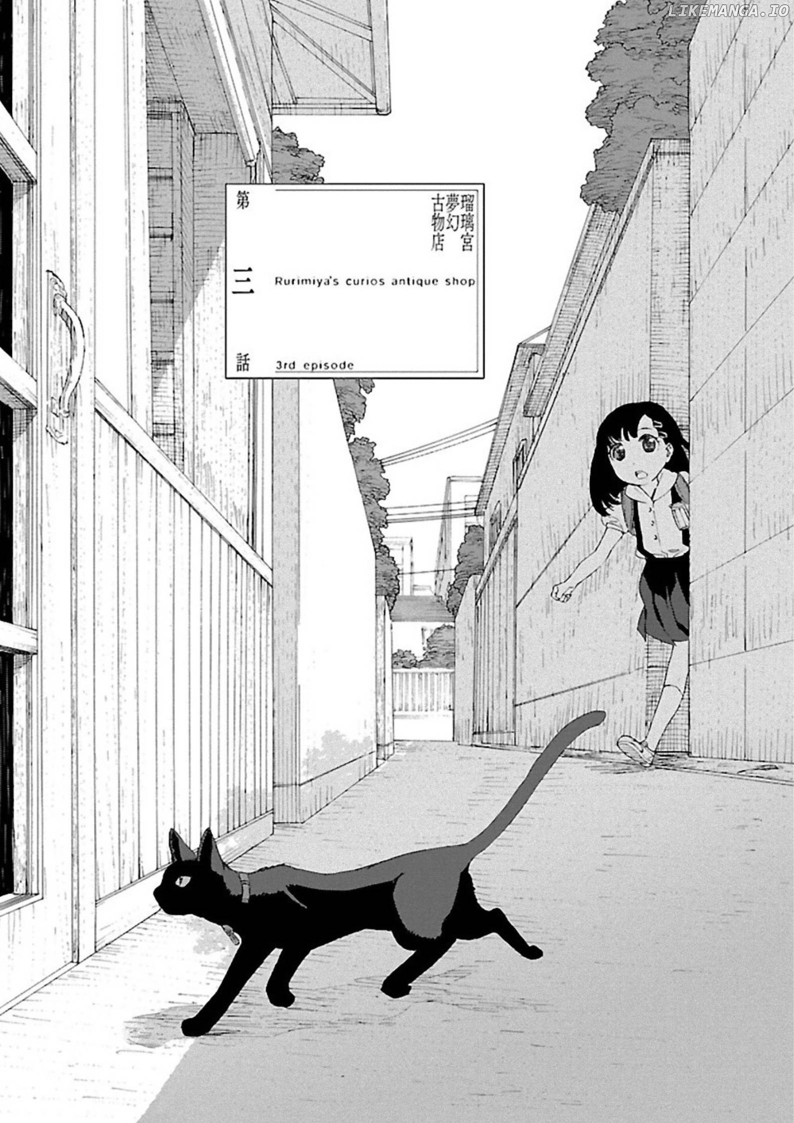 Rurimiya Mugen Kobutsuten Chapter 3 - page 3