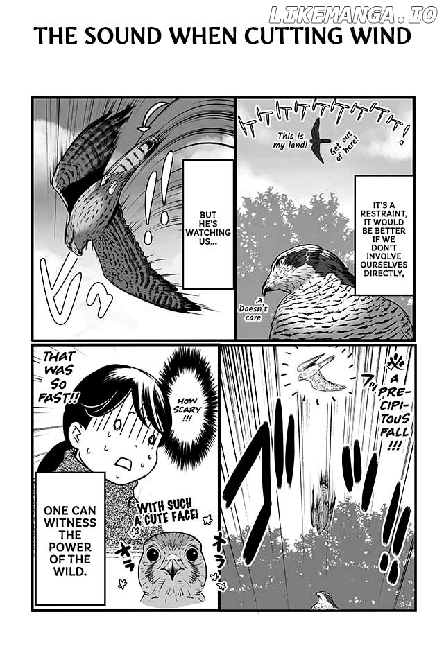 Taka no shishō, kari no o jikandesu! Chapter 1 - page 14