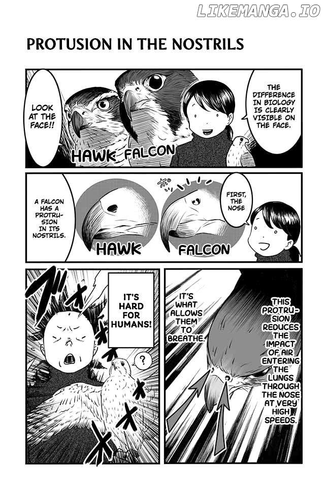 Taka no shishō, kari no o jikandesu! Chapter 4 - page 8