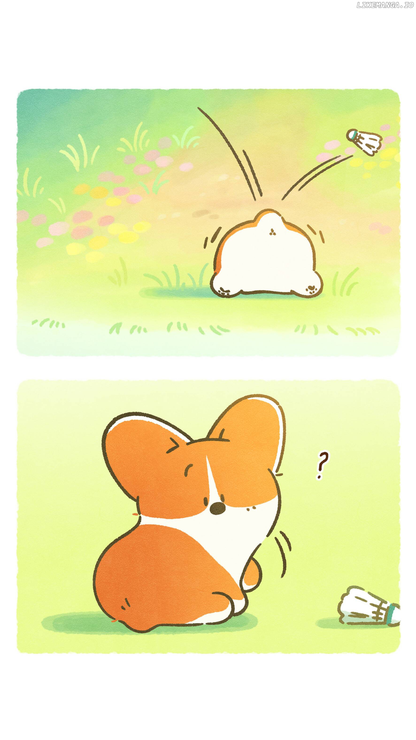 Doggie Corgi chapter 1 - page 5