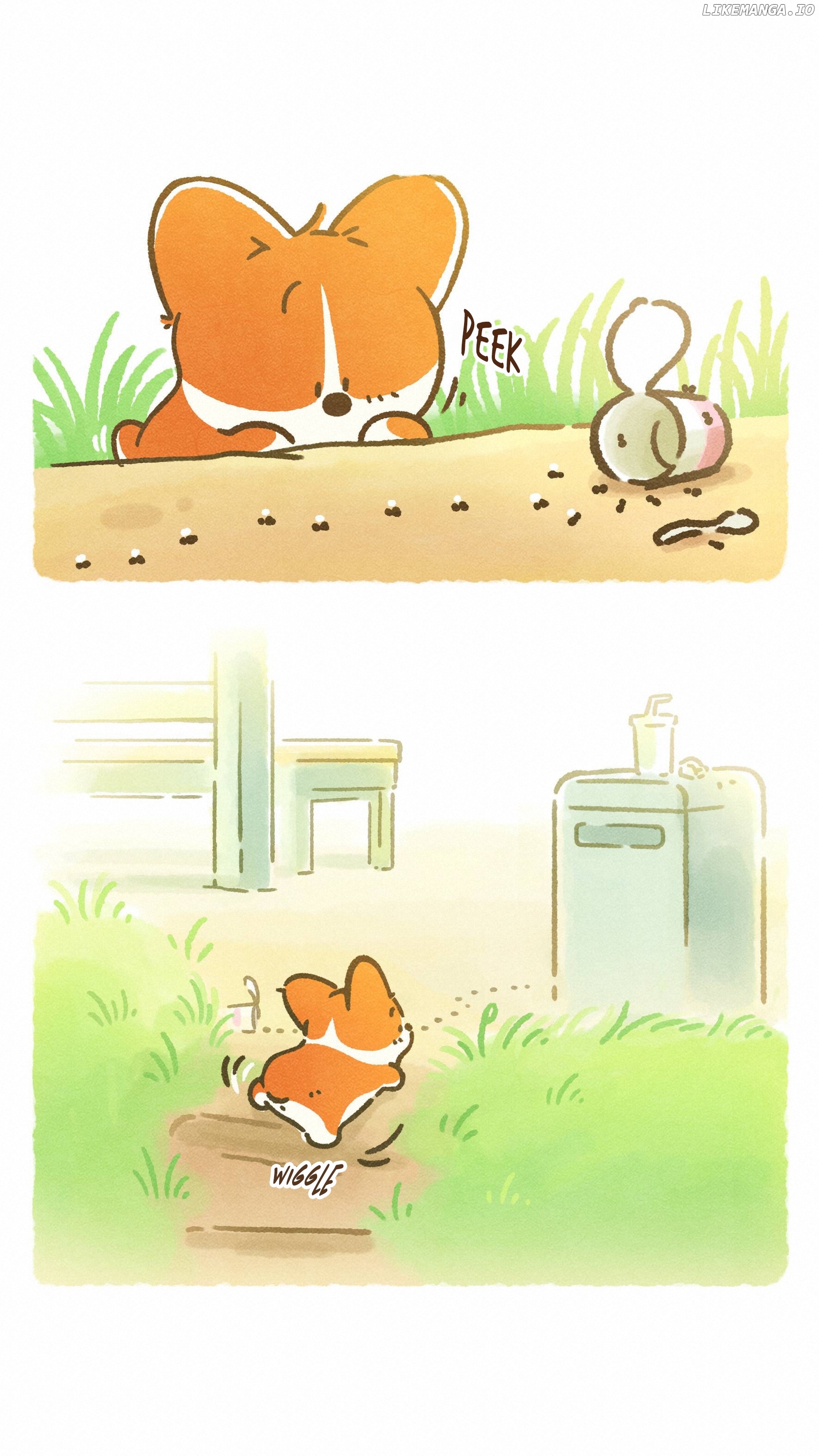 Doggie Corgi chapter 1 - page 6