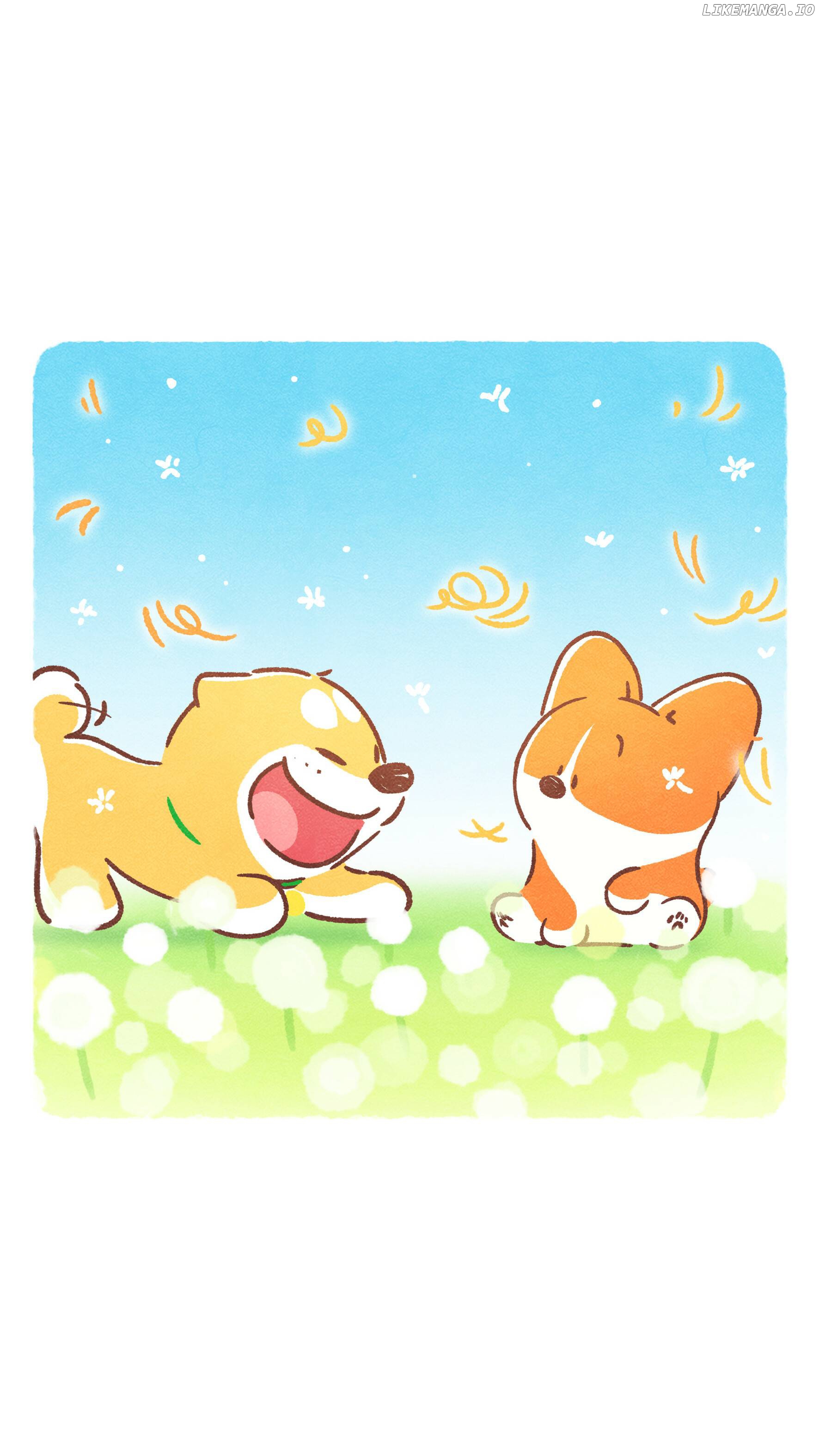 Doggie Corgi chapter 7 - page 16