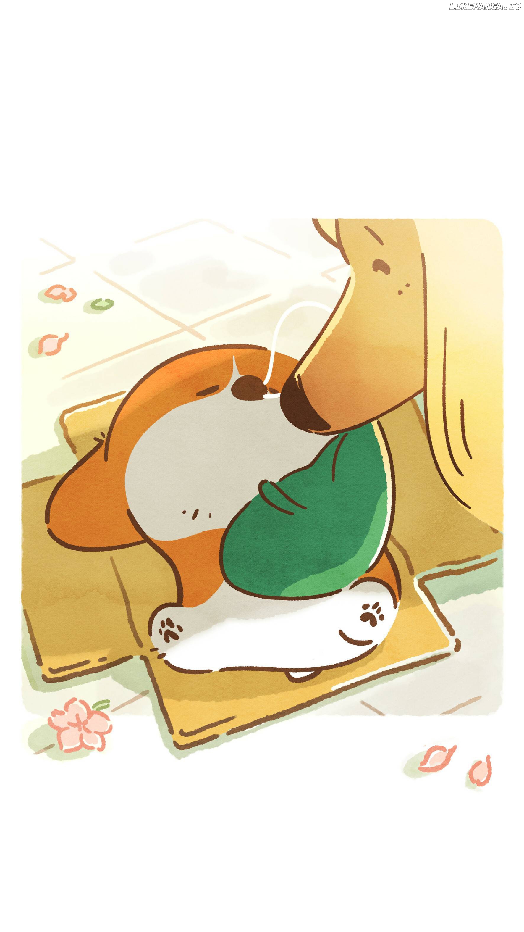 Doggie Corgi chapter 6 - page 5
