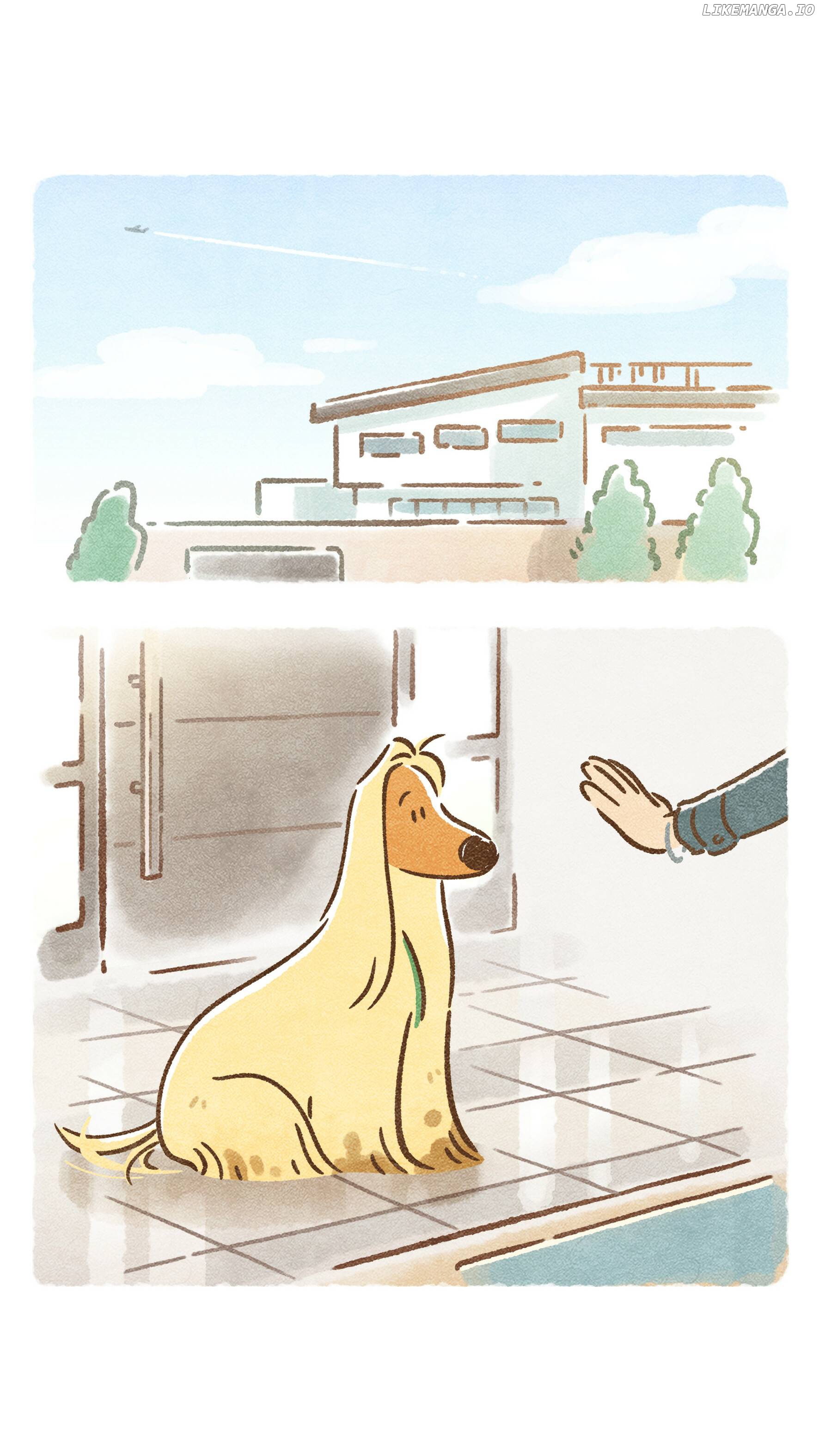 Doggie Corgi chapter 6 - page 9