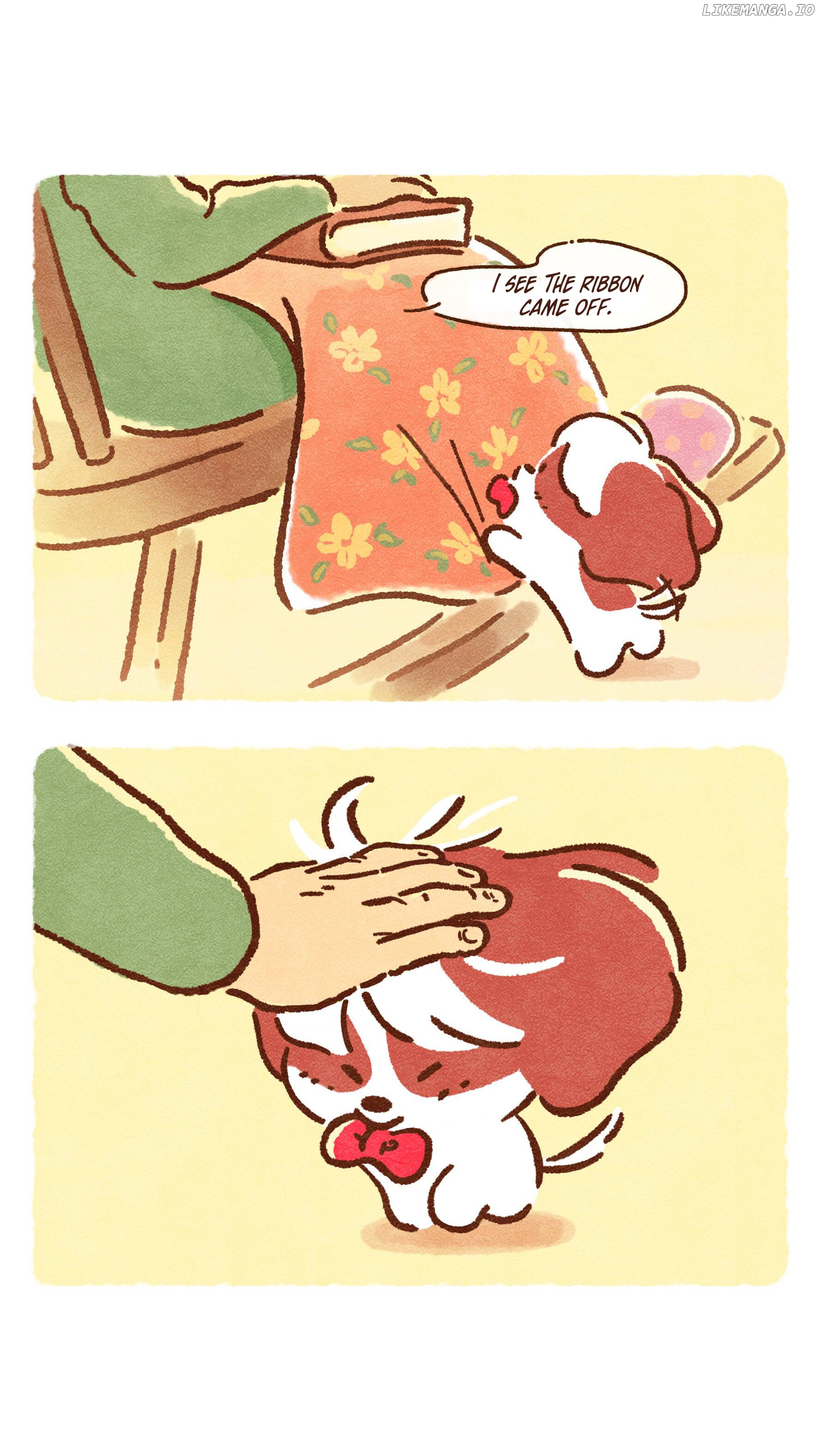 Doggie Corgi chapter 5 - page 9