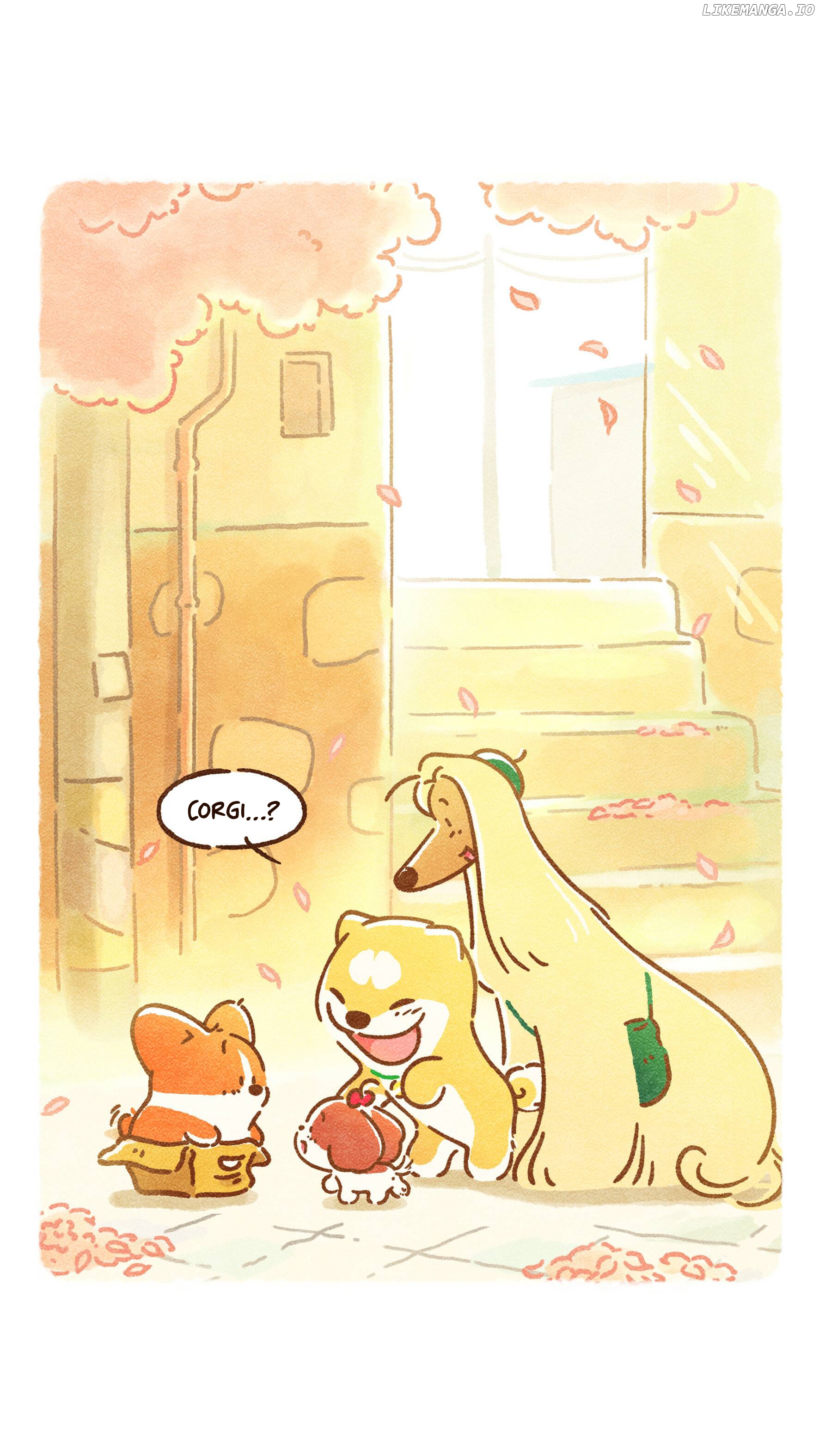 Doggie Corgi chapter 4 - page 4