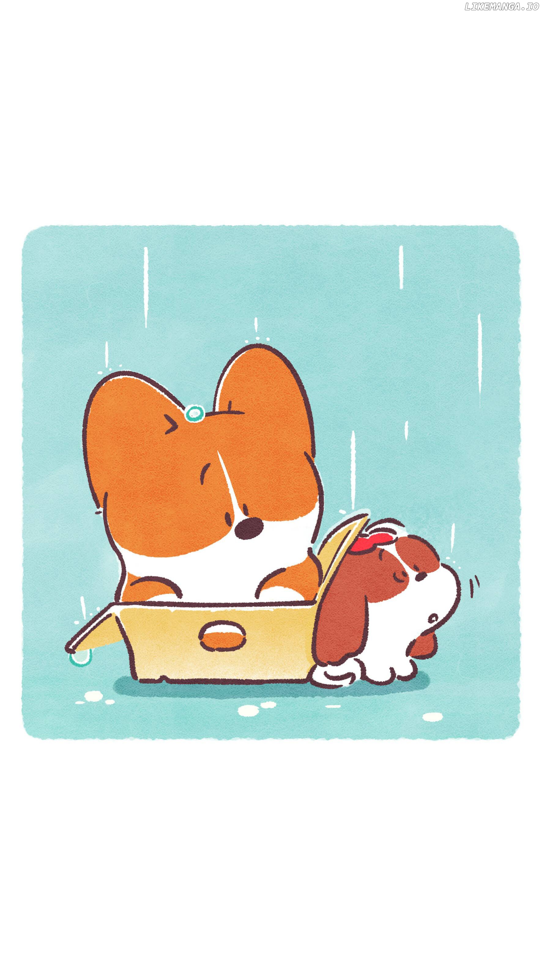 Doggie Corgi chapter 4 - page 8