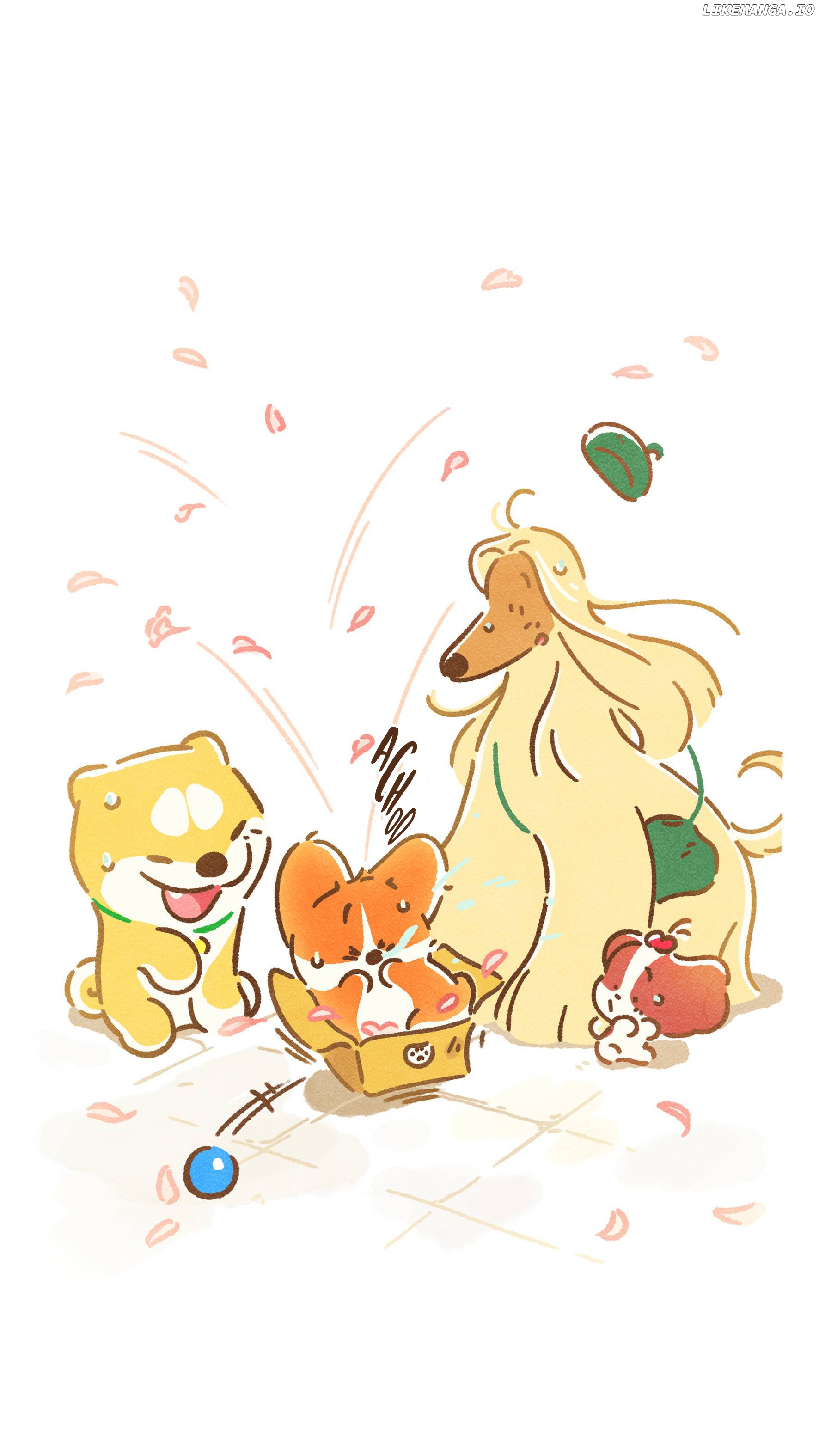Doggie Corgi chapter 3 - page 8