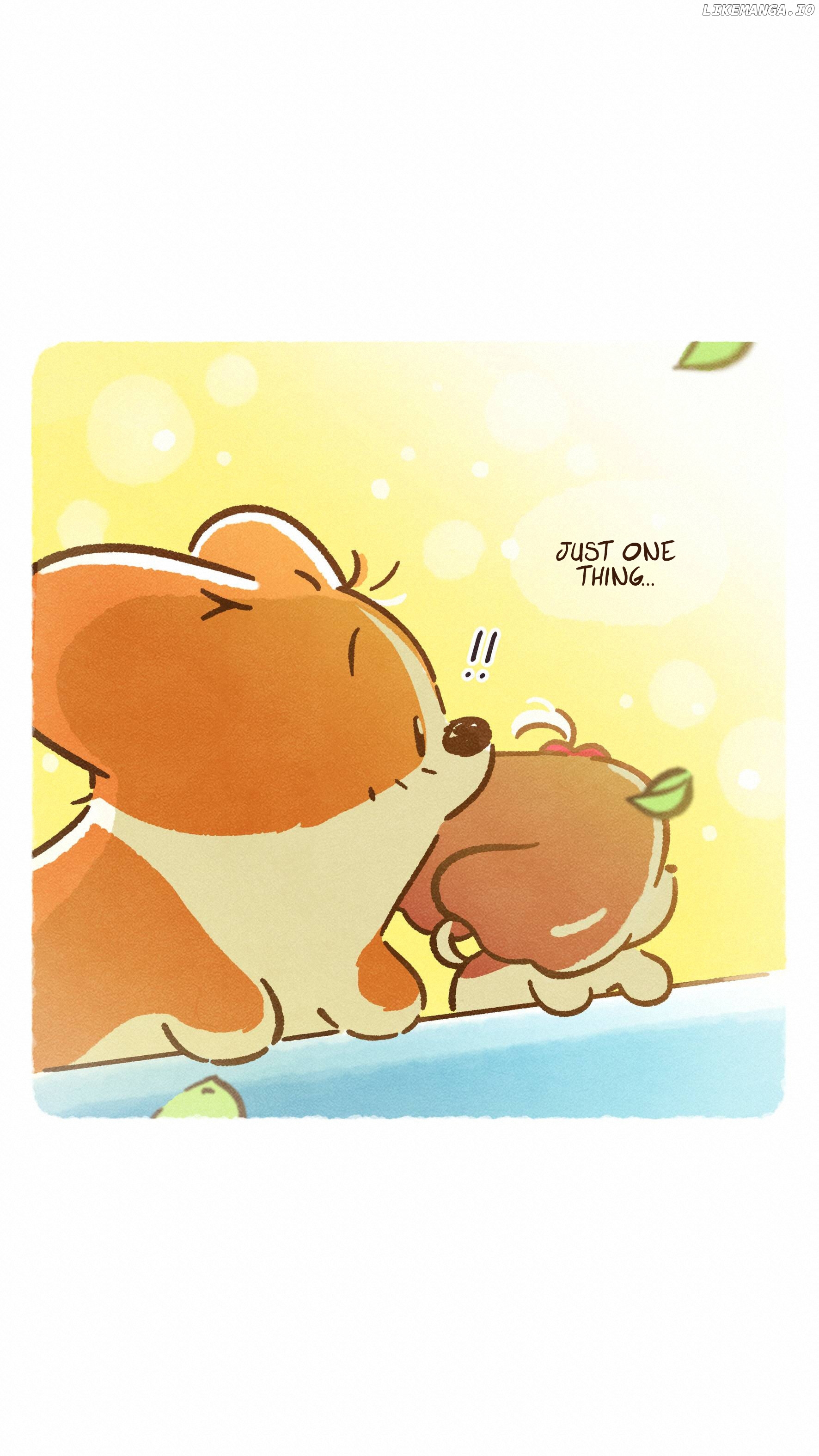 Doggie Corgi chapter 26 - page 16