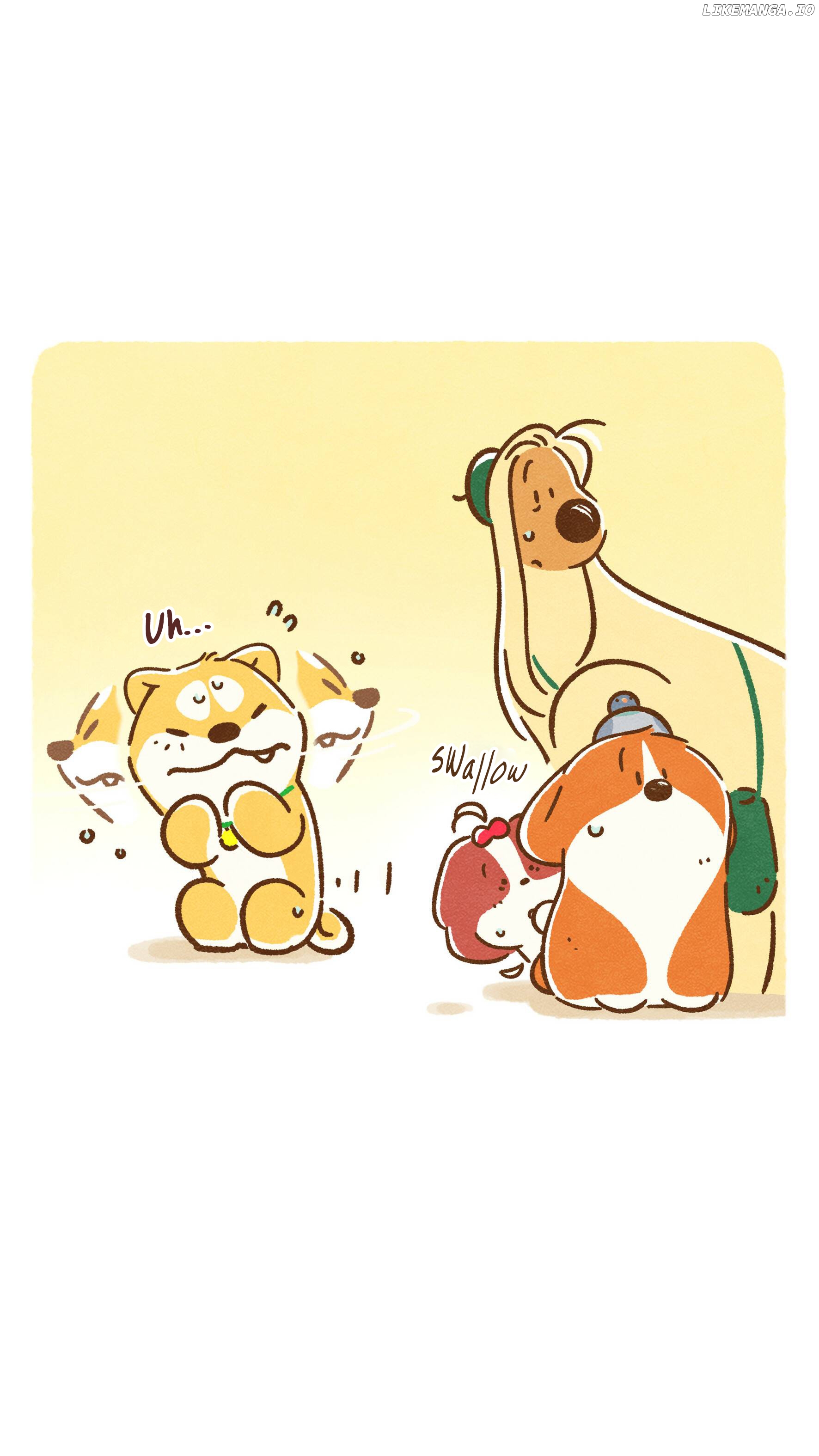 Doggie Corgi chapter 26 - page 4
