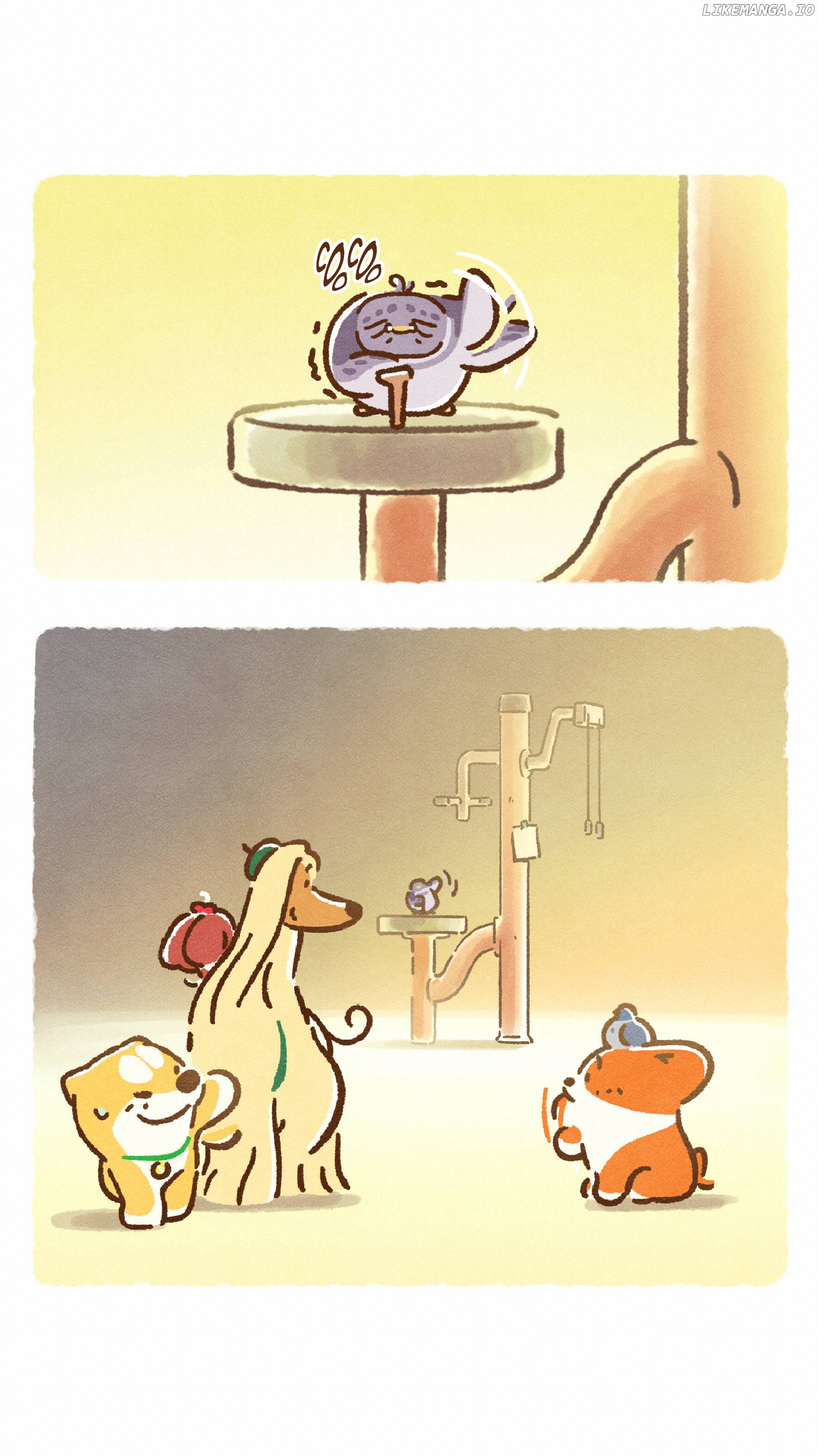 Doggie Corgi chapter 25 - page 9
