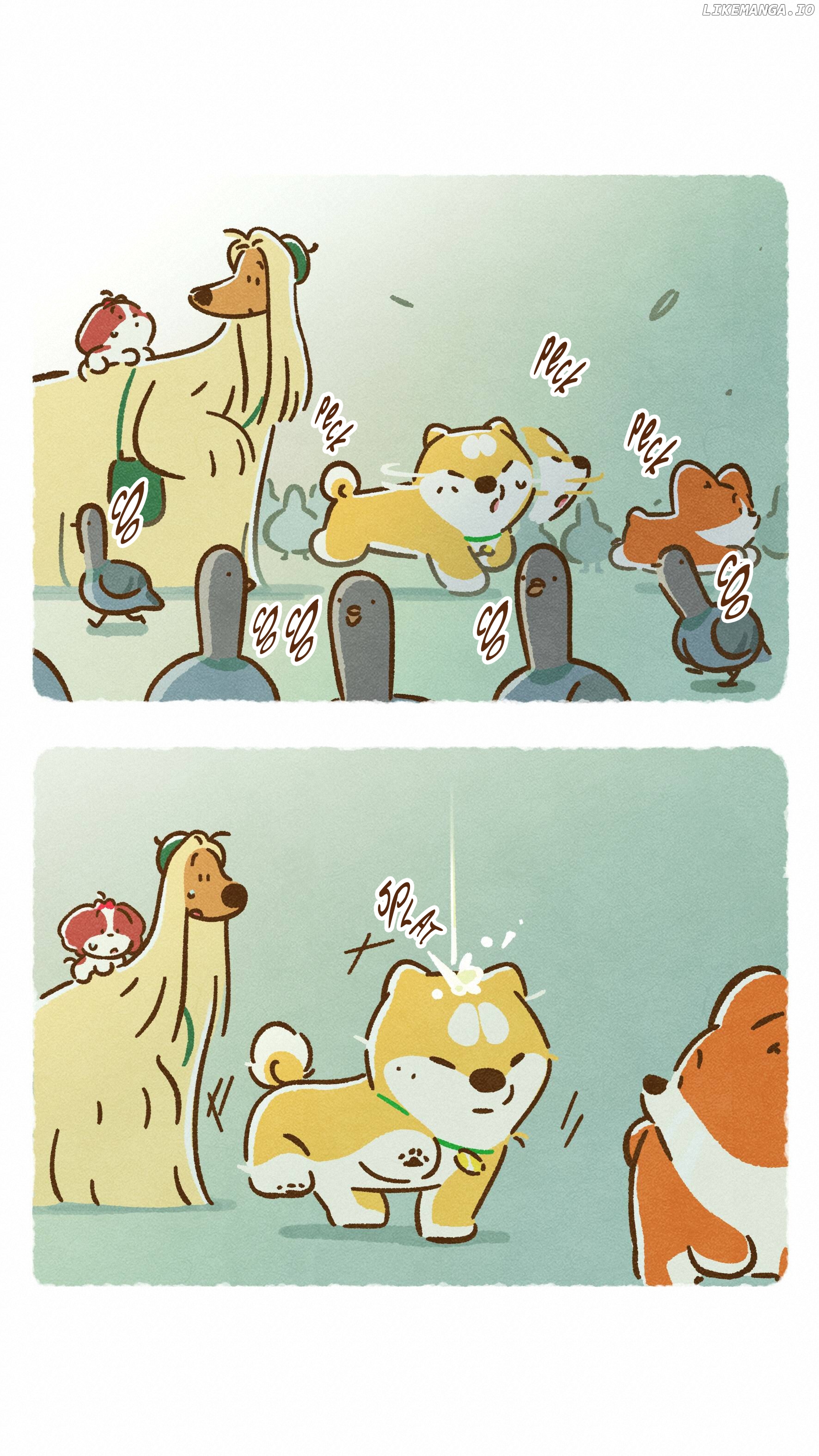 Doggie Corgi chapter 24 - page 13