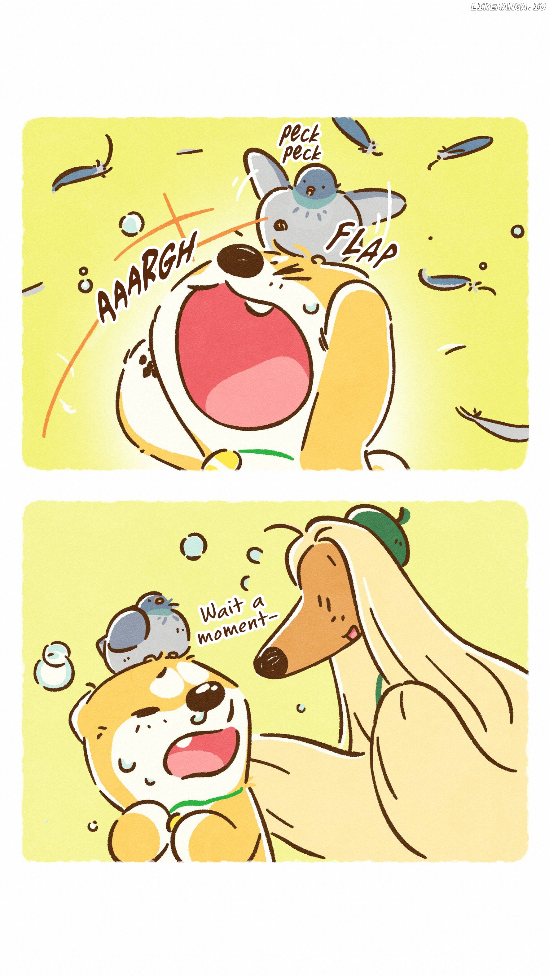 Doggie Corgi chapter 24 - page 5