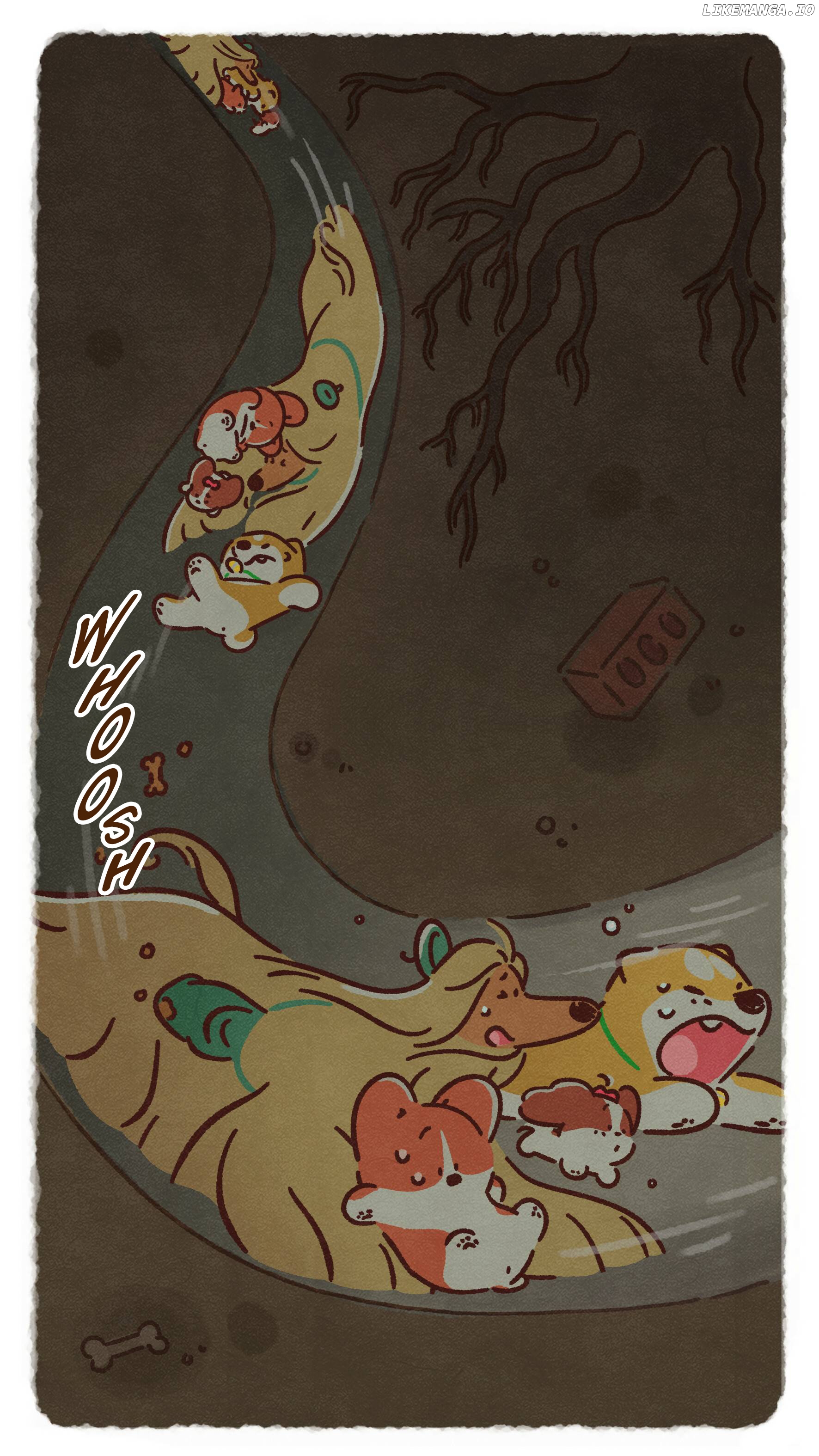 Doggie Corgi chapter 23 - page 11