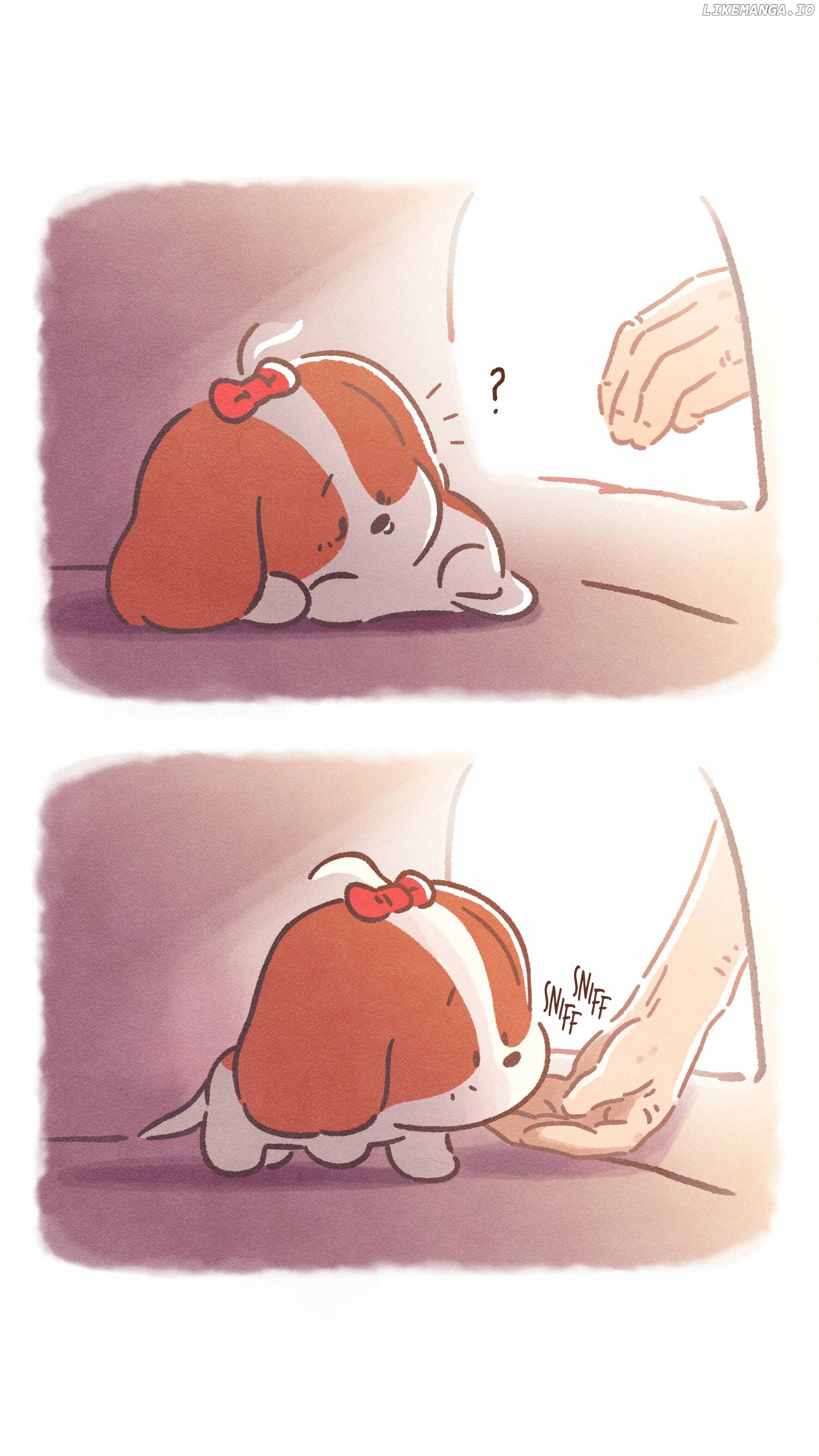 Doggie Corgi chapter 21 - page 14