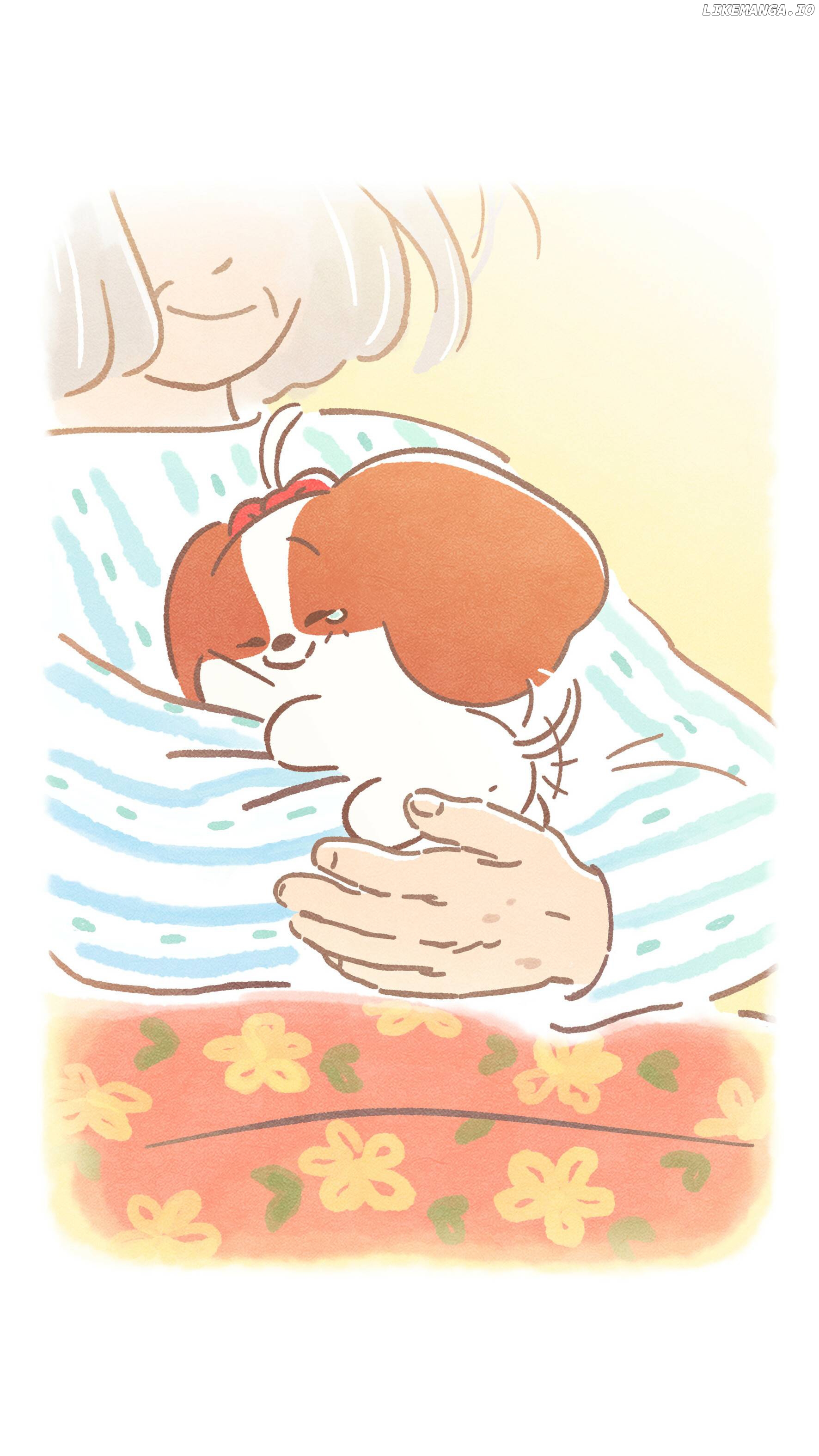 Doggie Corgi chapter 21 - page 17