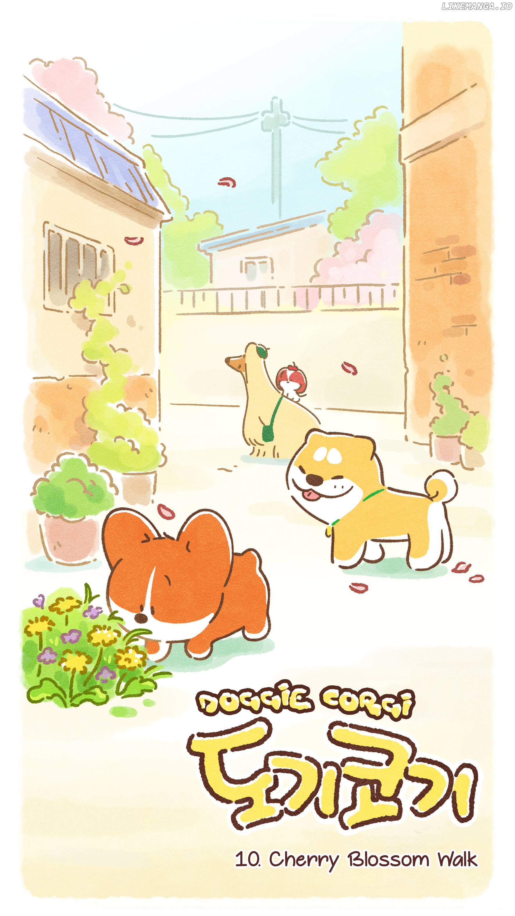 Doggie Corgi chapter 10 - page 4