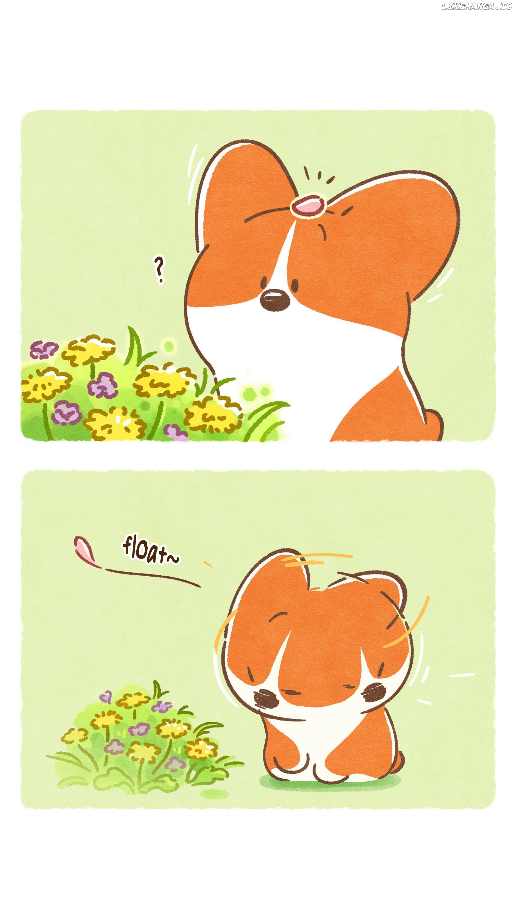 Doggie Corgi chapter 10 - page 5