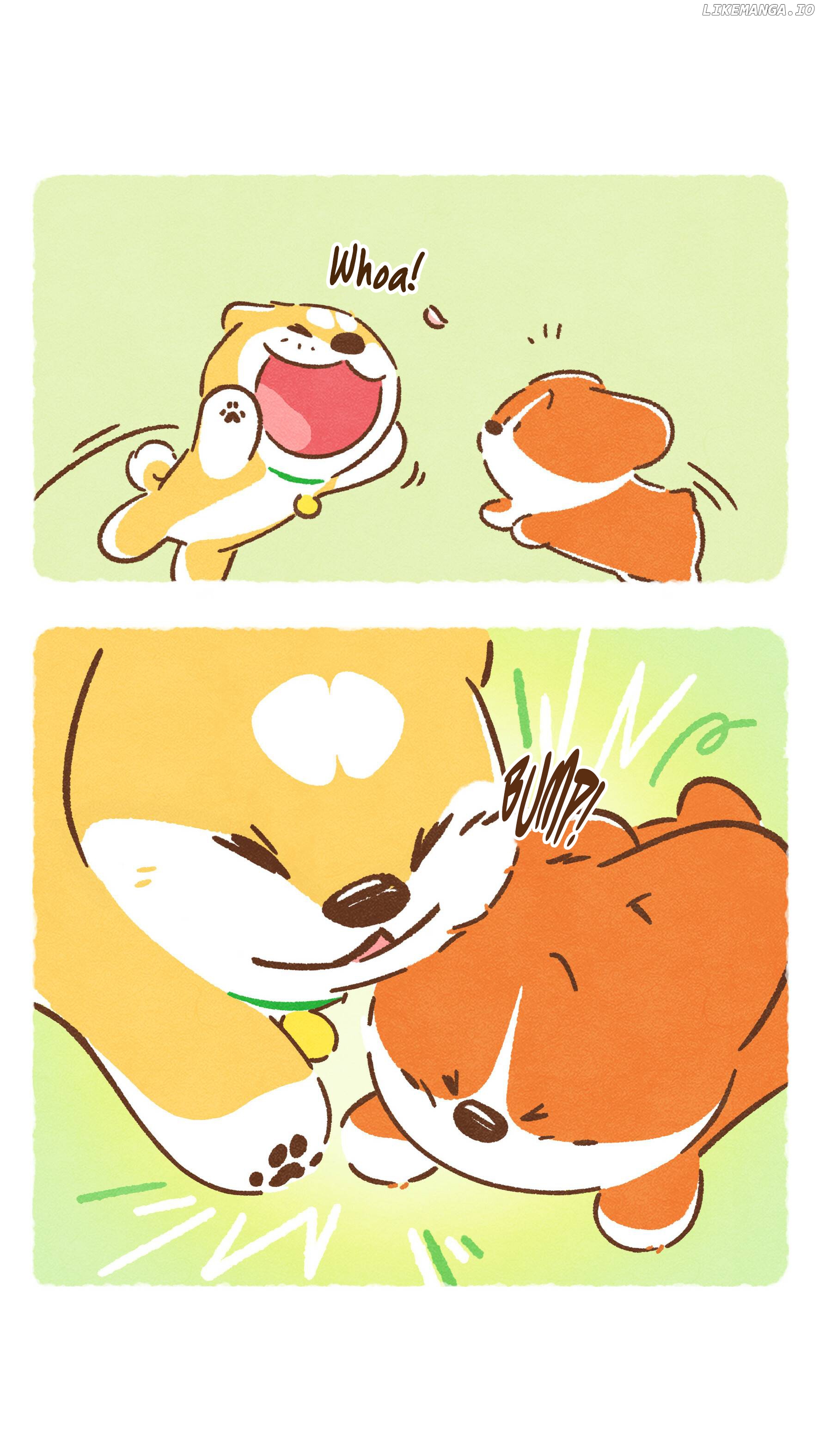 Doggie Corgi chapter 10 - page 7