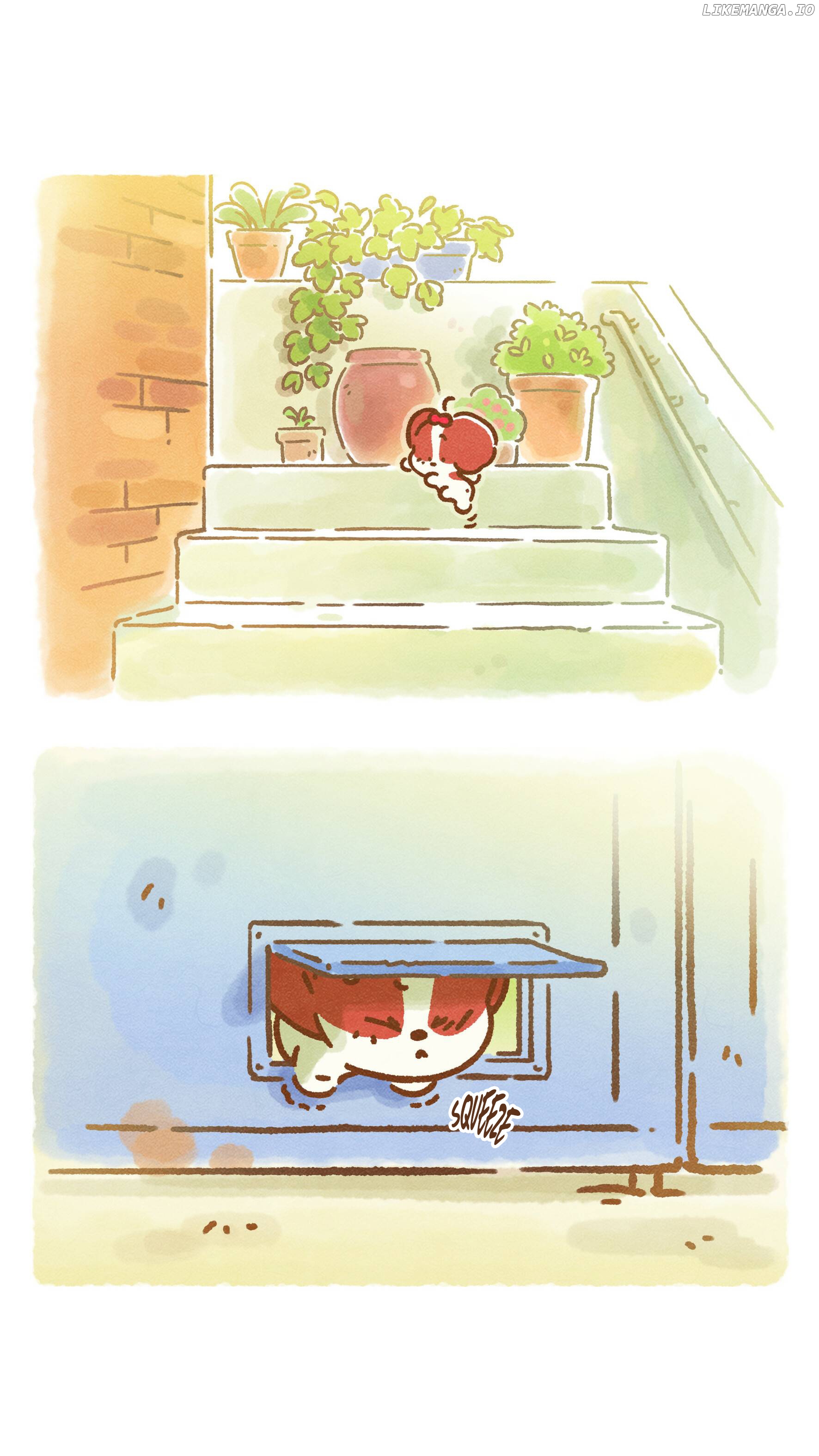 Doggie Corgi chapter 2 - page 12