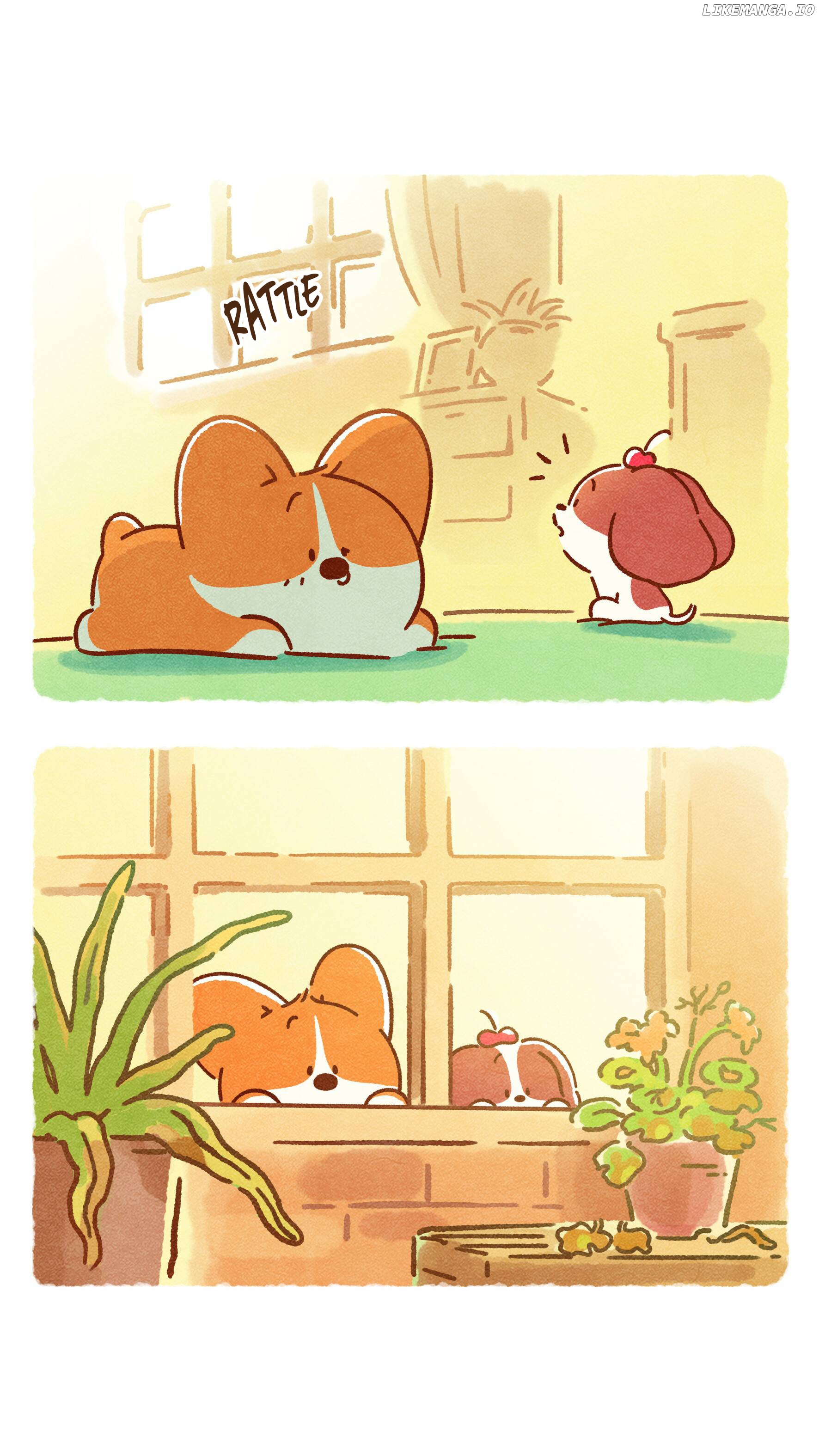 Doggie Corgi chapter 19 - page 16