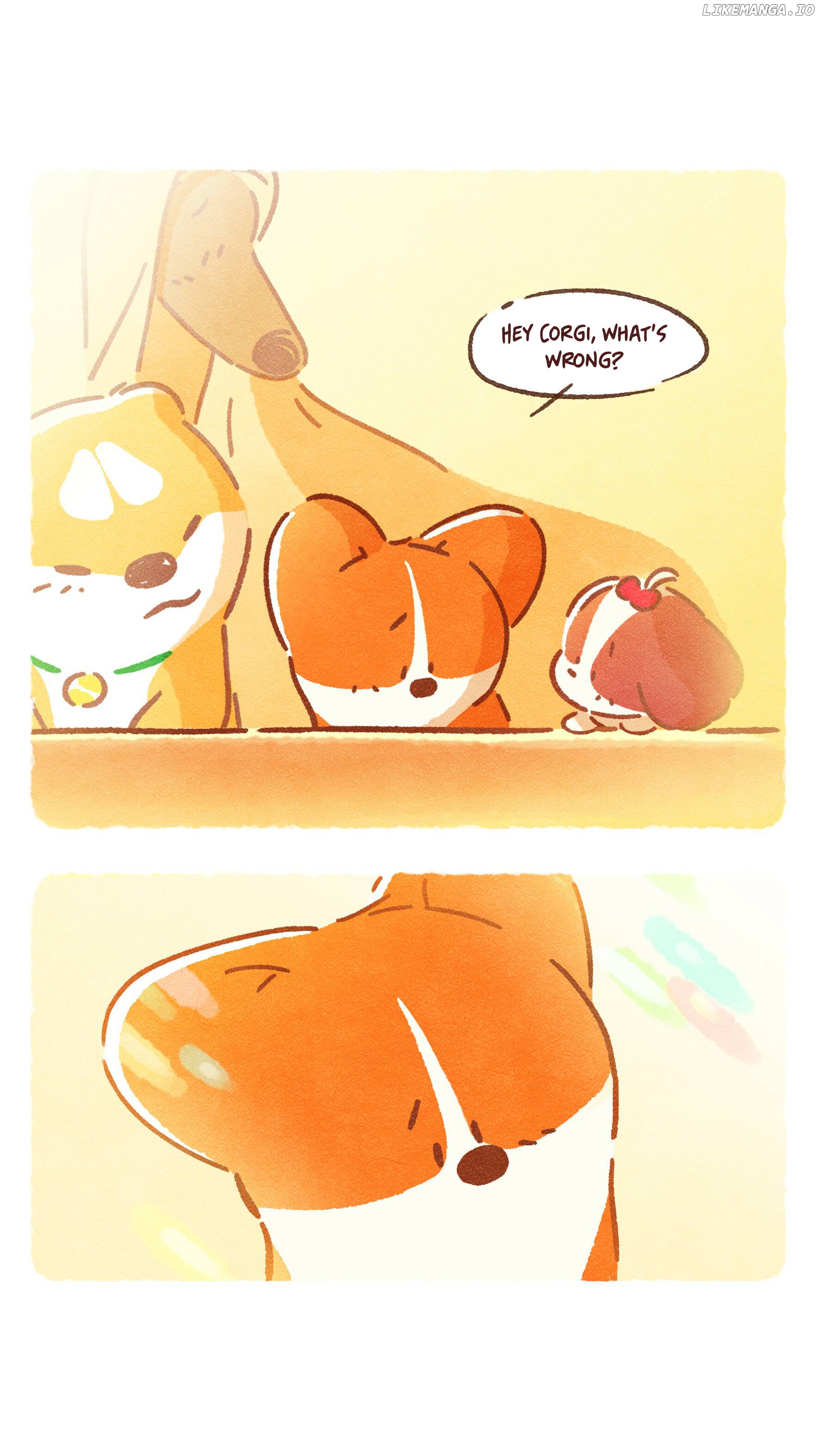 Doggie Corgi chapter 17 - page 3