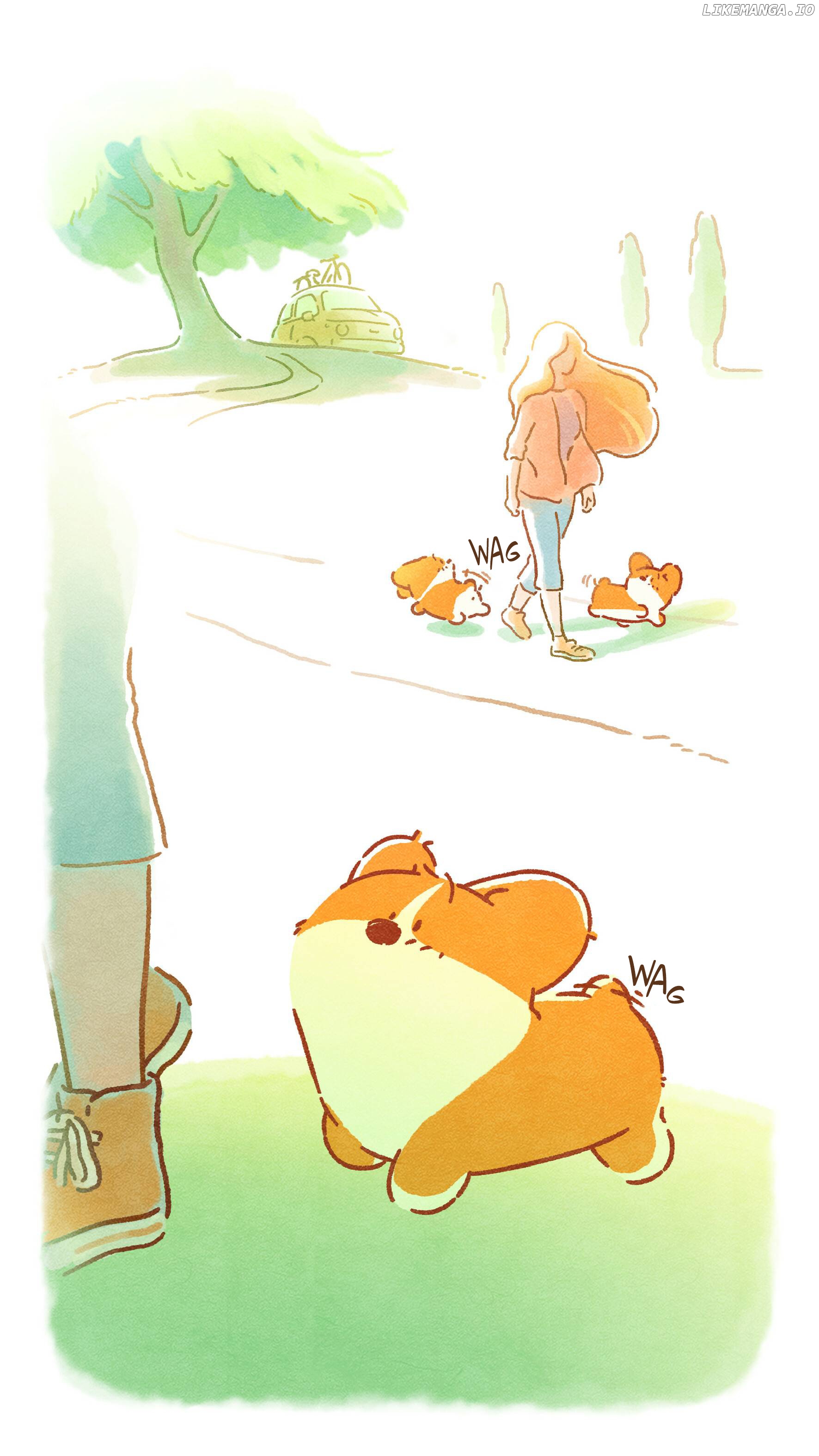 Doggie Corgi chapter 17 - page 7