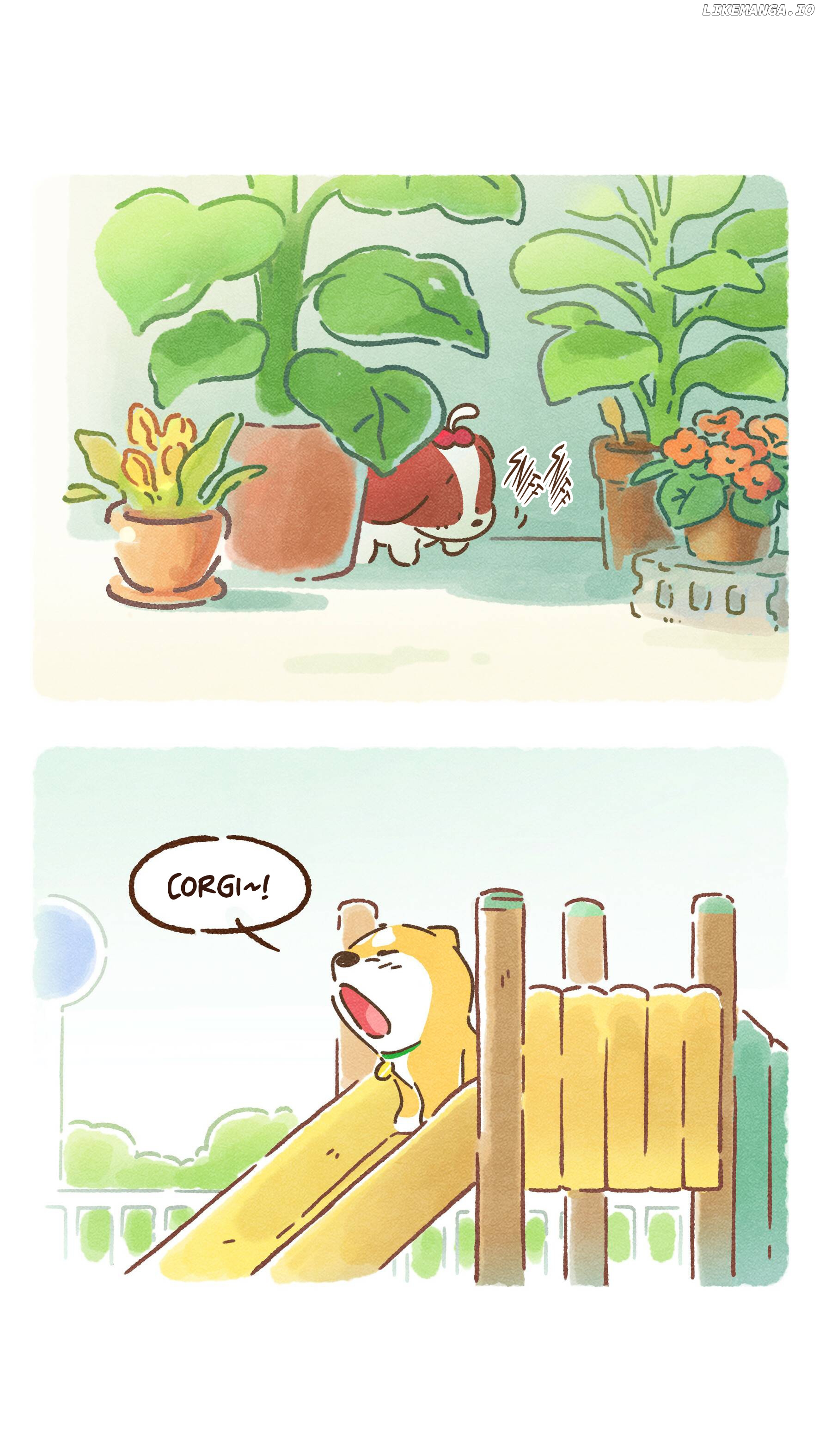 Doggie Corgi chapter 16 - page 4