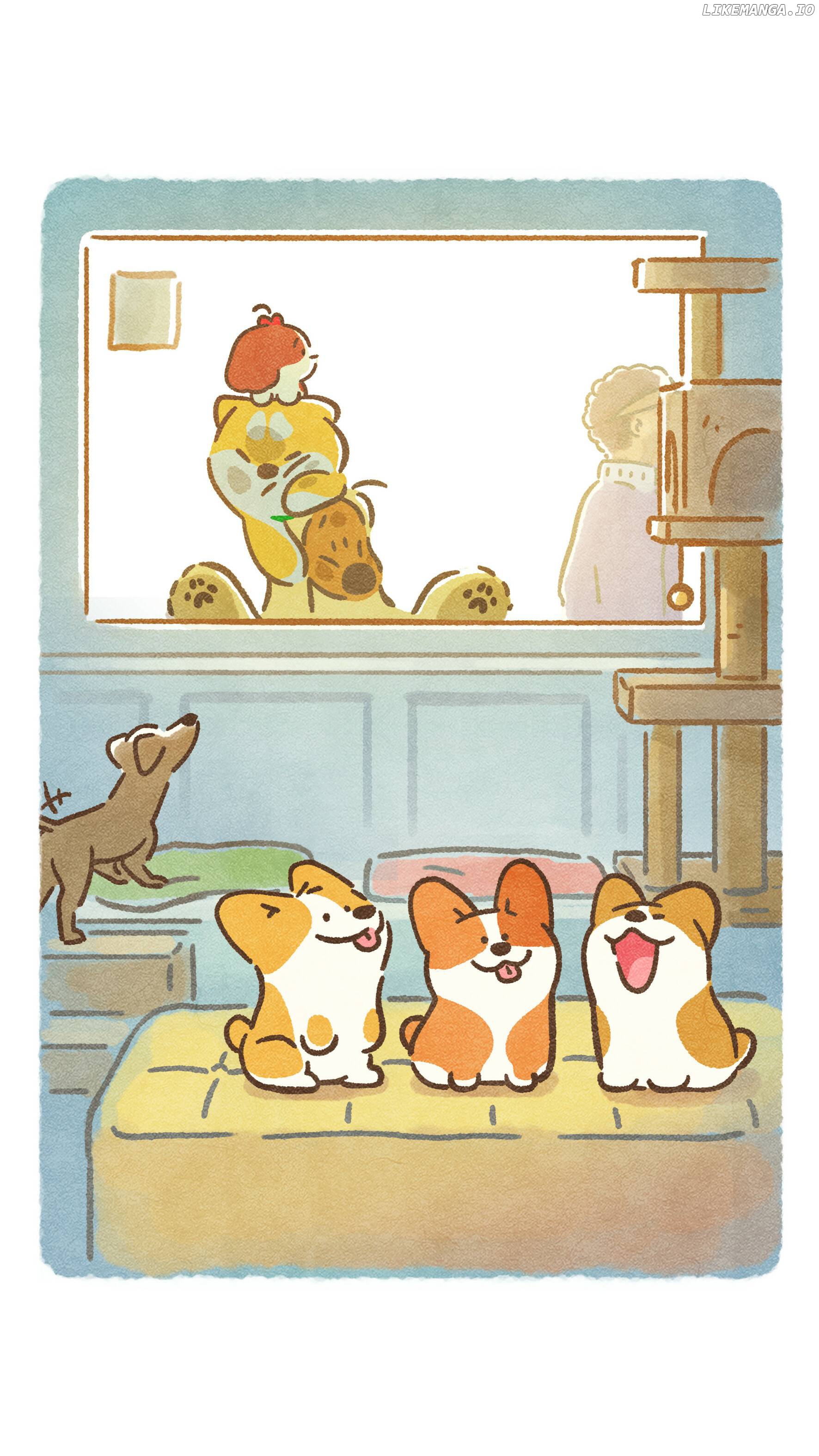 Doggie Corgi chapter 16 - page 6