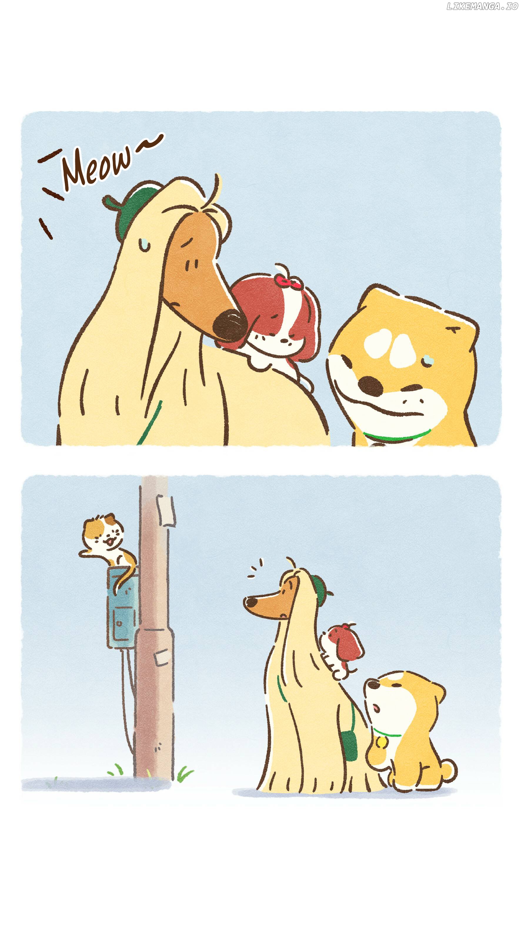 Doggie Corgi chapter 16 - page 8