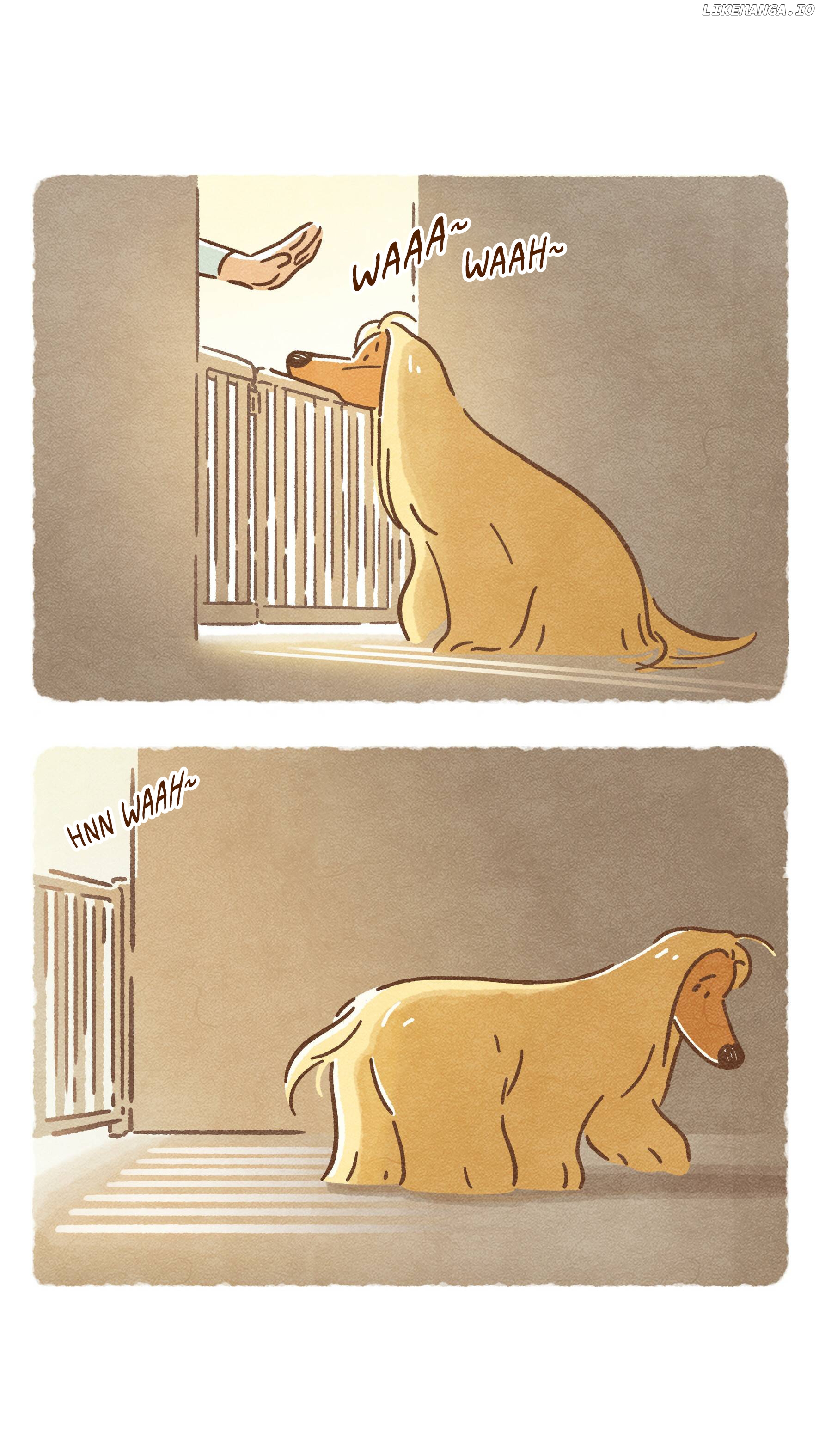 Doggie Corgi chapter 14 - page 12