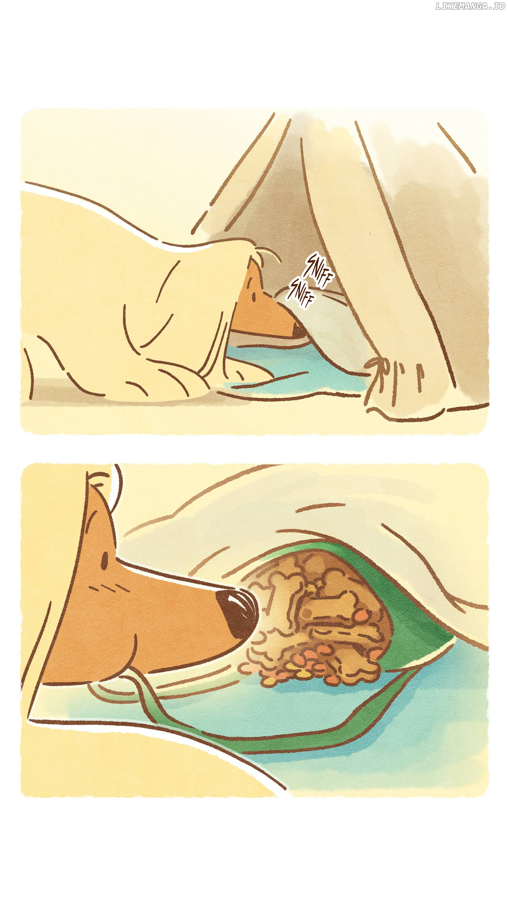 Doggie Corgi chapter 14 - page 16