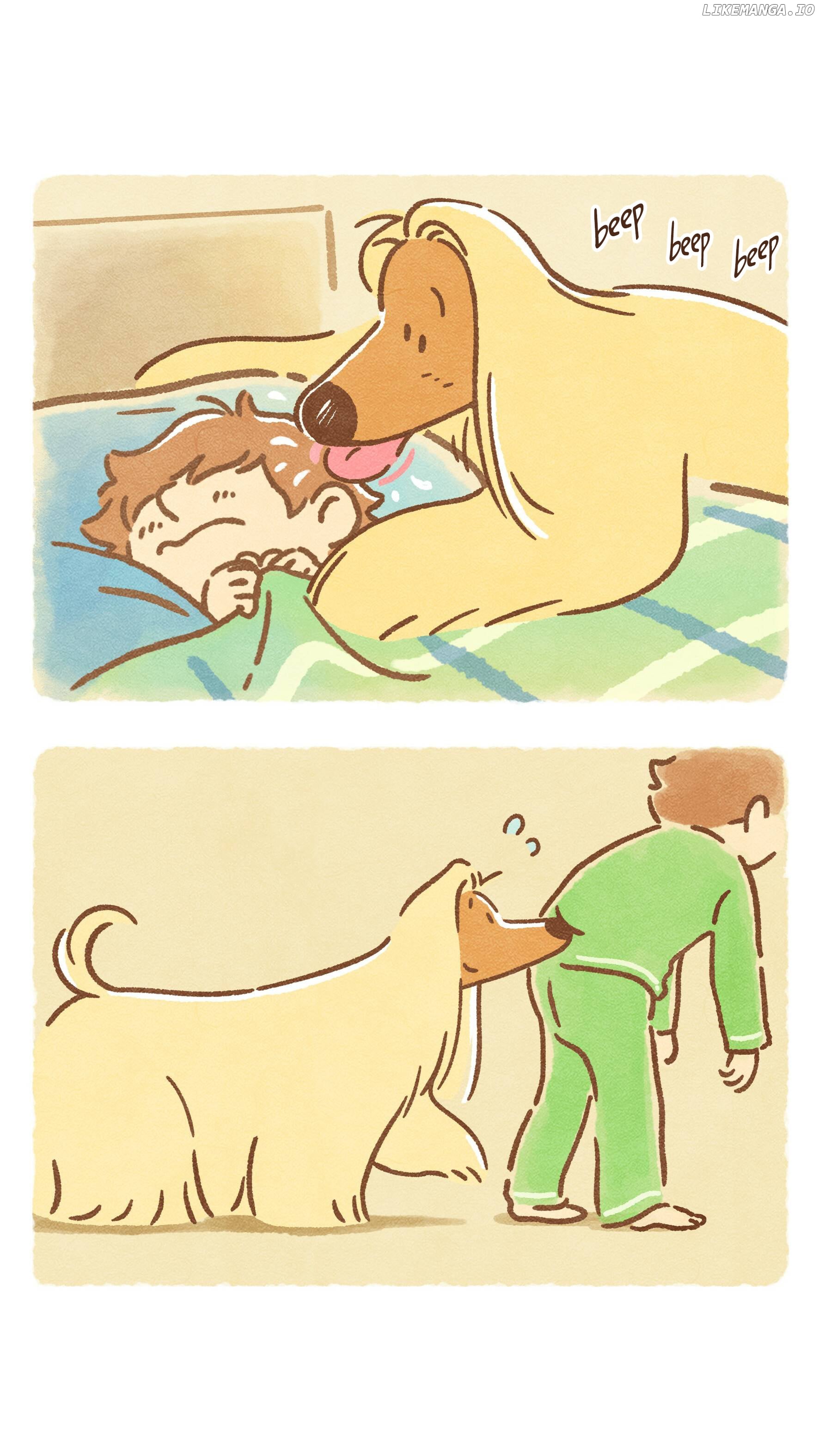 Doggie Corgi chapter 14 - page 5