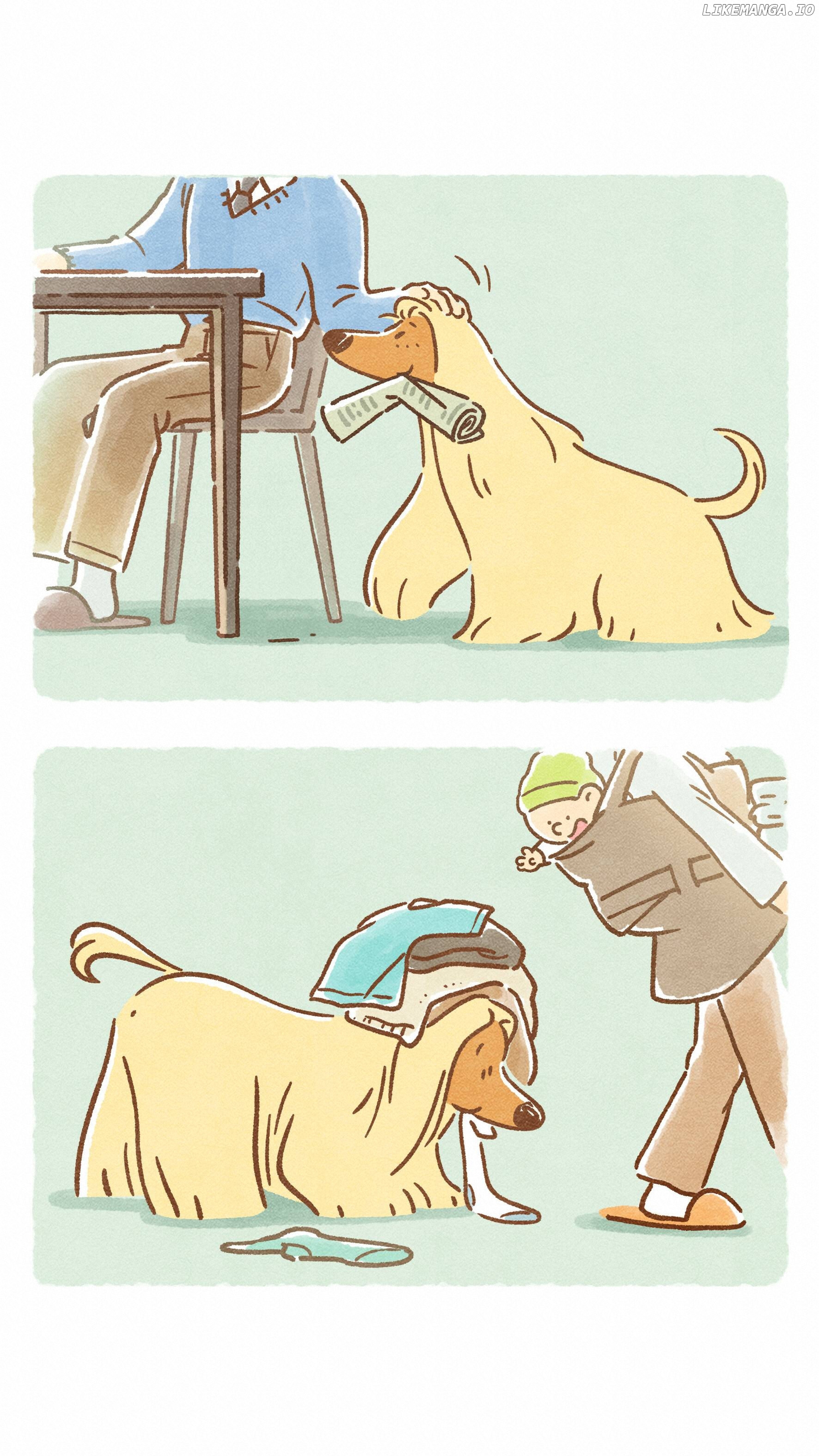 Doggie Corgi chapter 14 - page 6