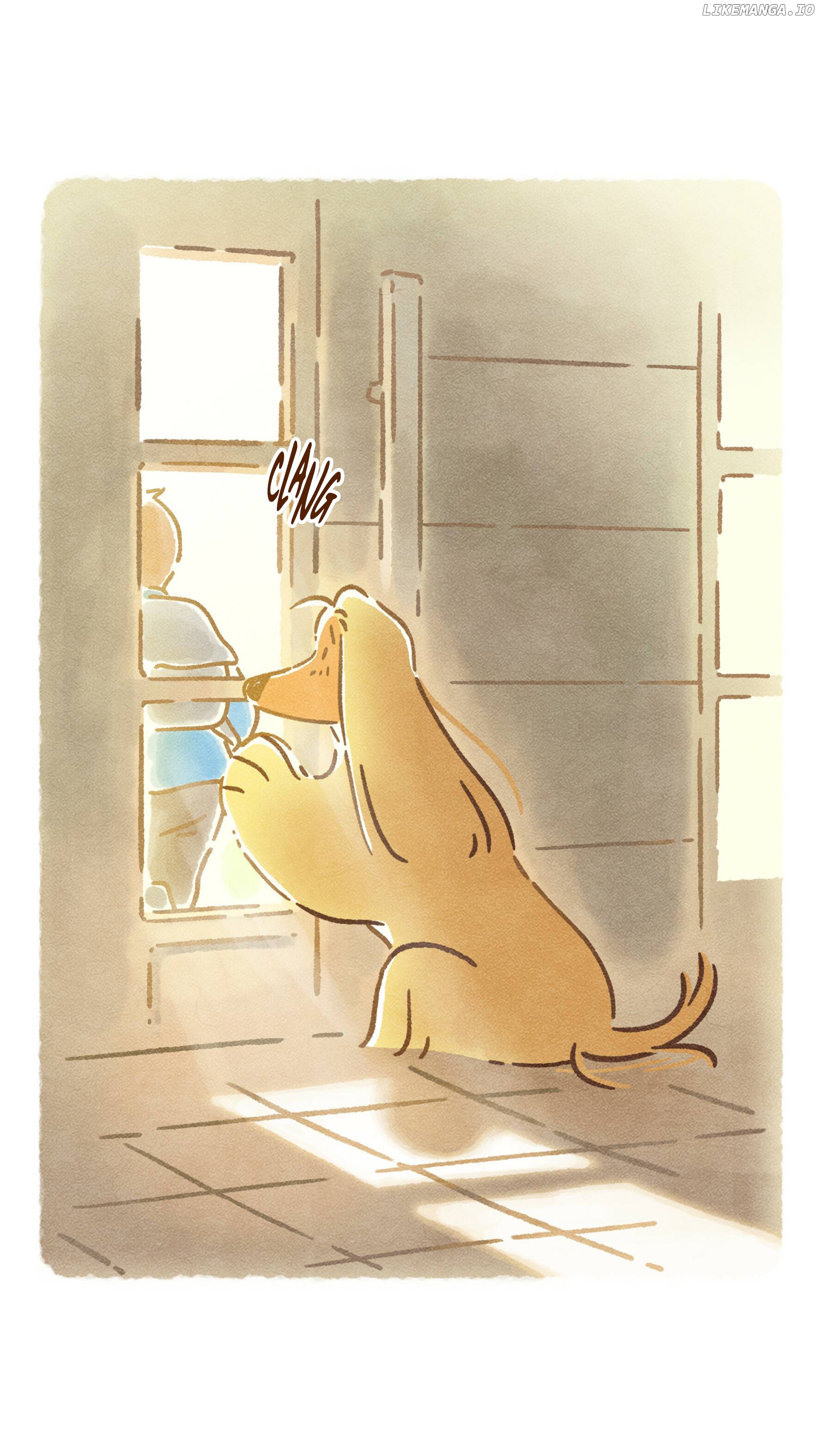 Doggie Corgi chapter 14 - page 8