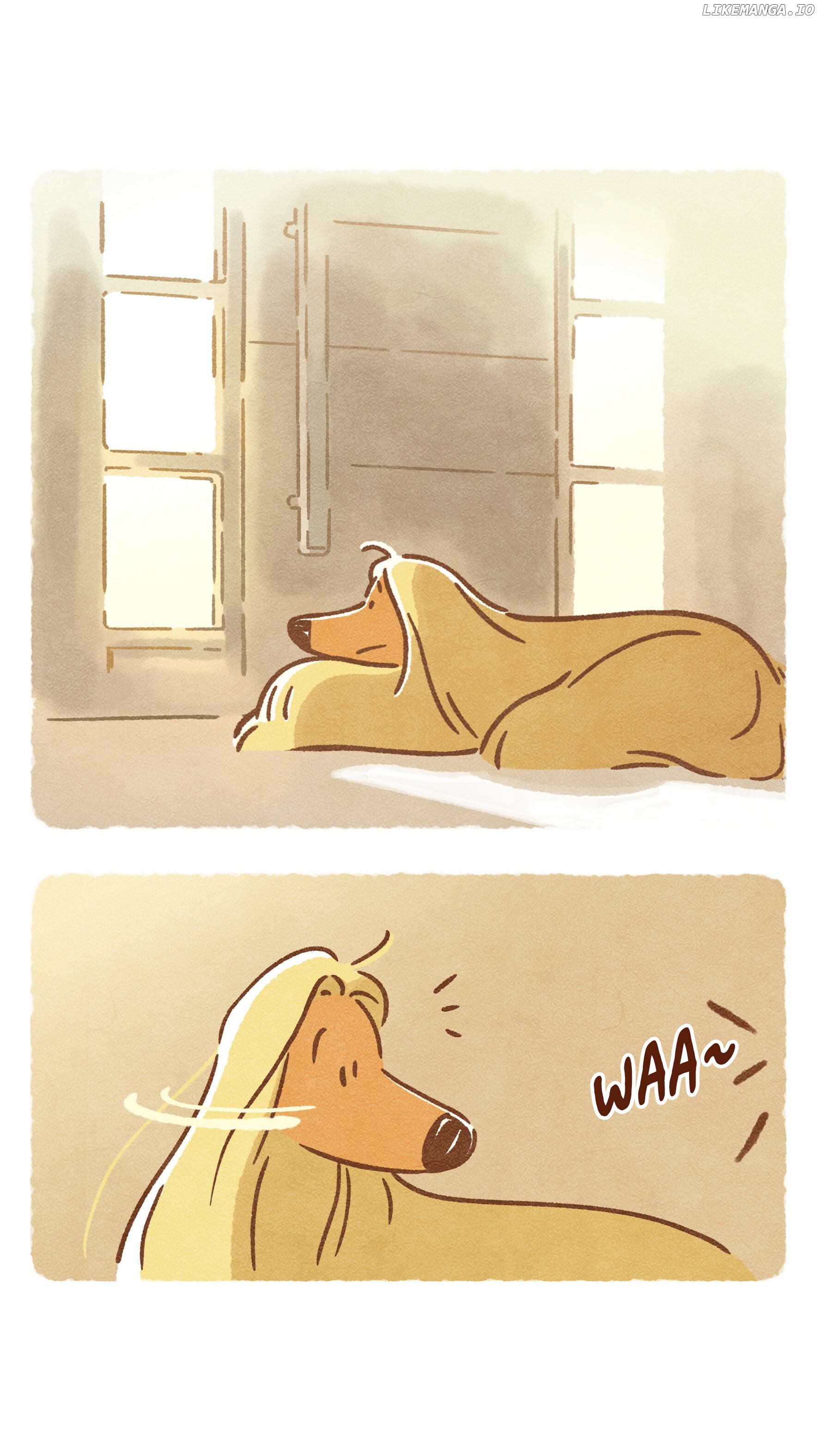Doggie Corgi chapter 14 - page 9