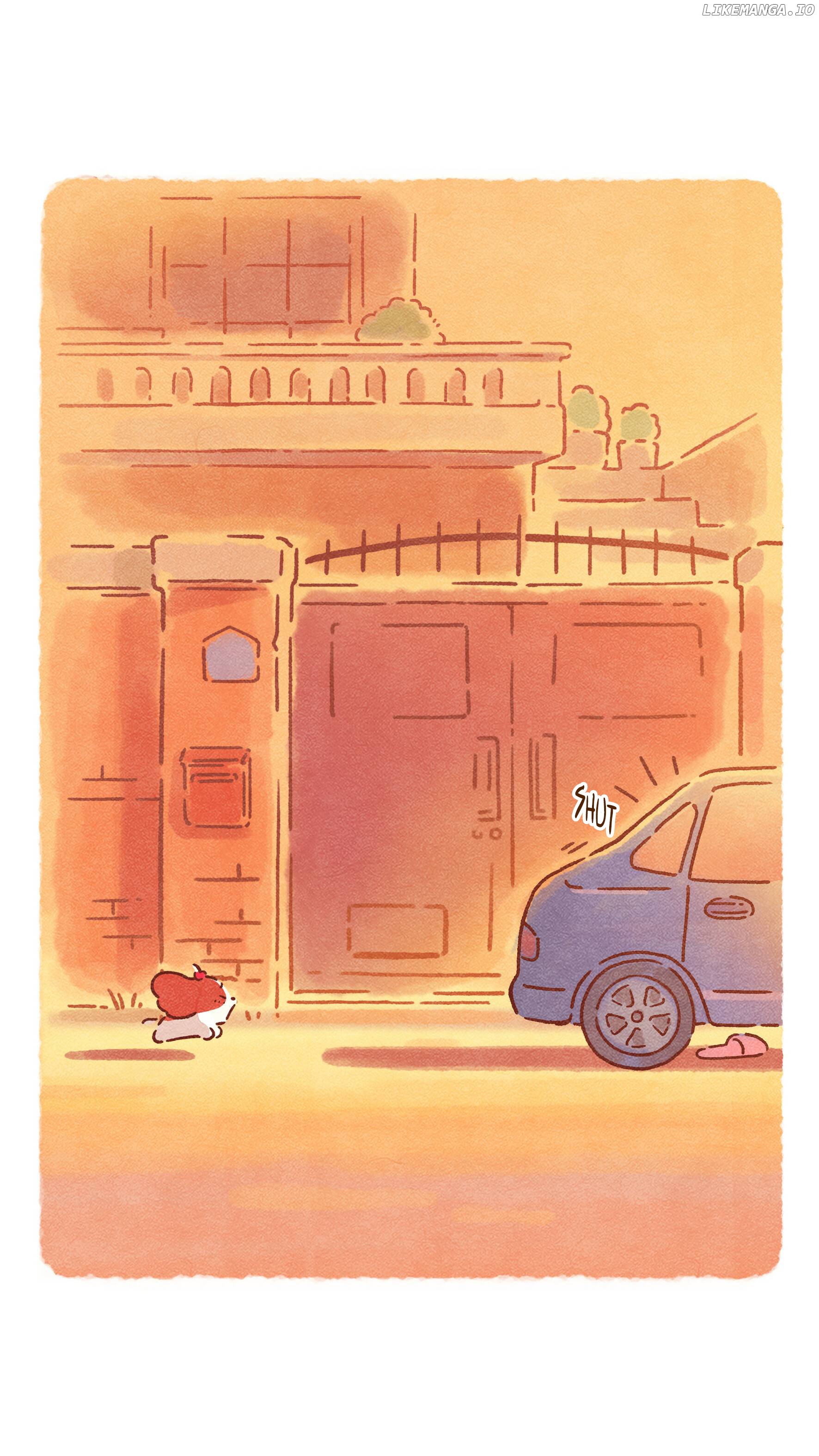 Doggie Corgi chapter 13 - page 8