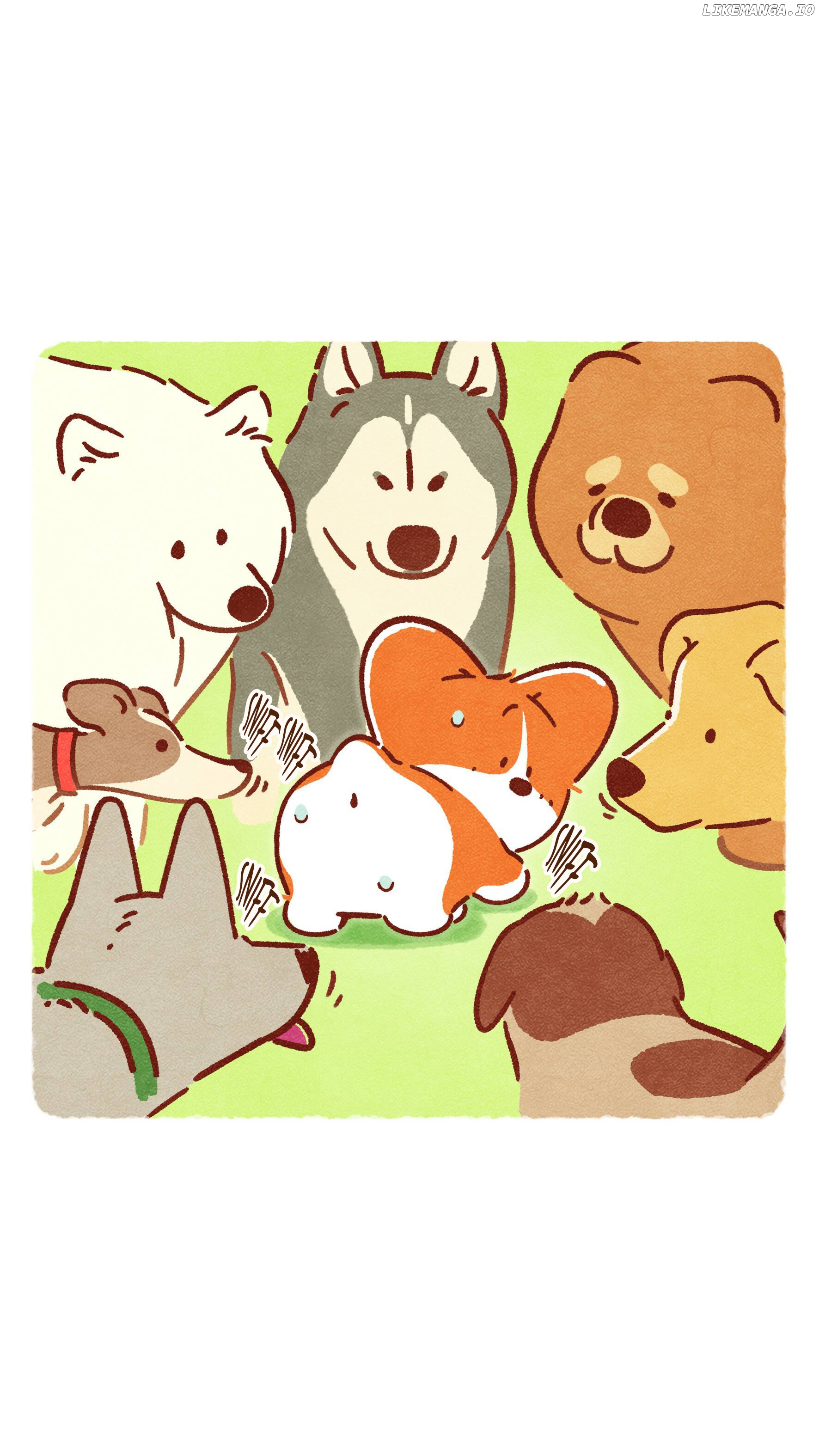 Doggie Corgi chapter 12 - page 11
