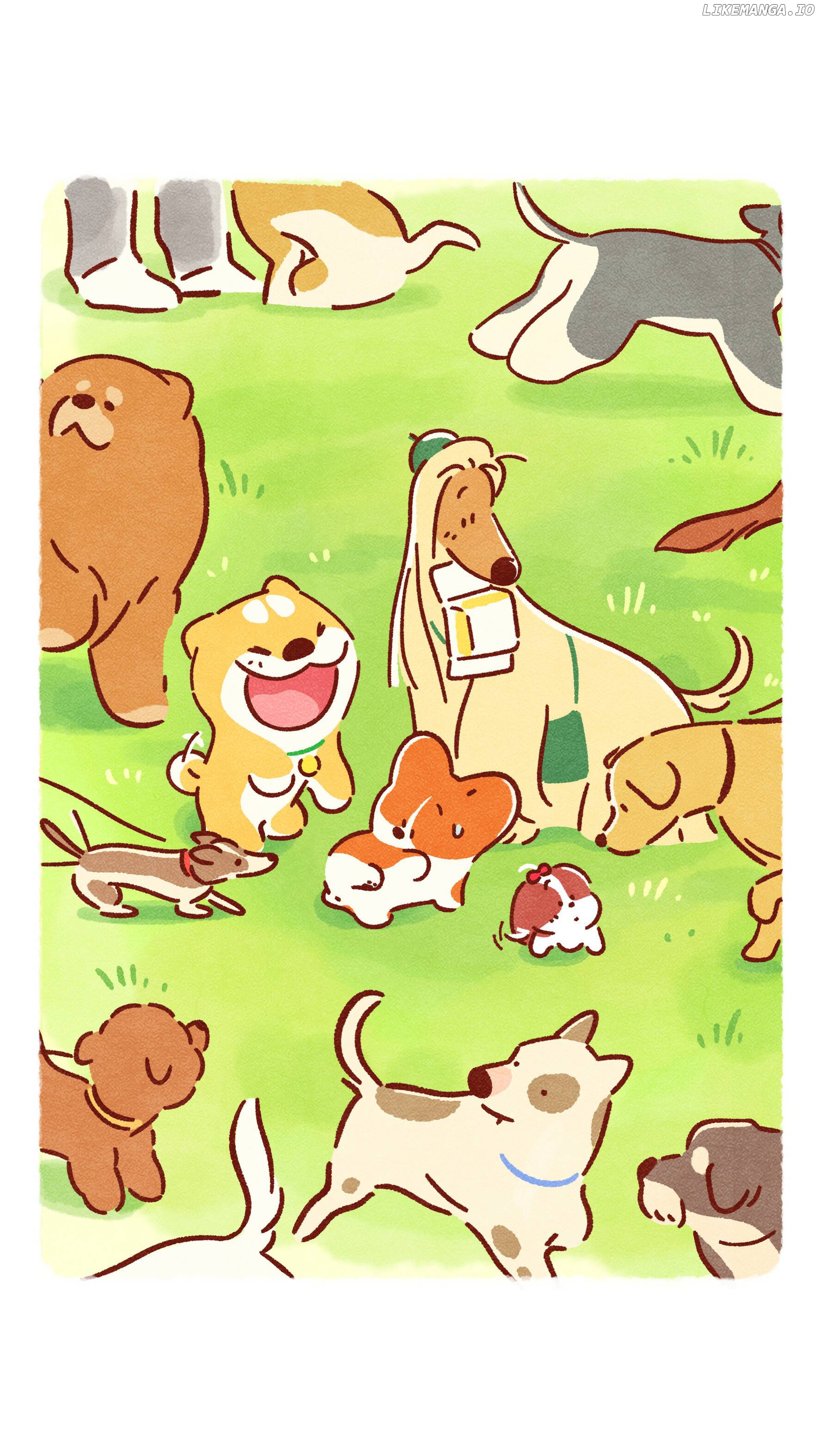 Doggie Corgi chapter 12 - page 12