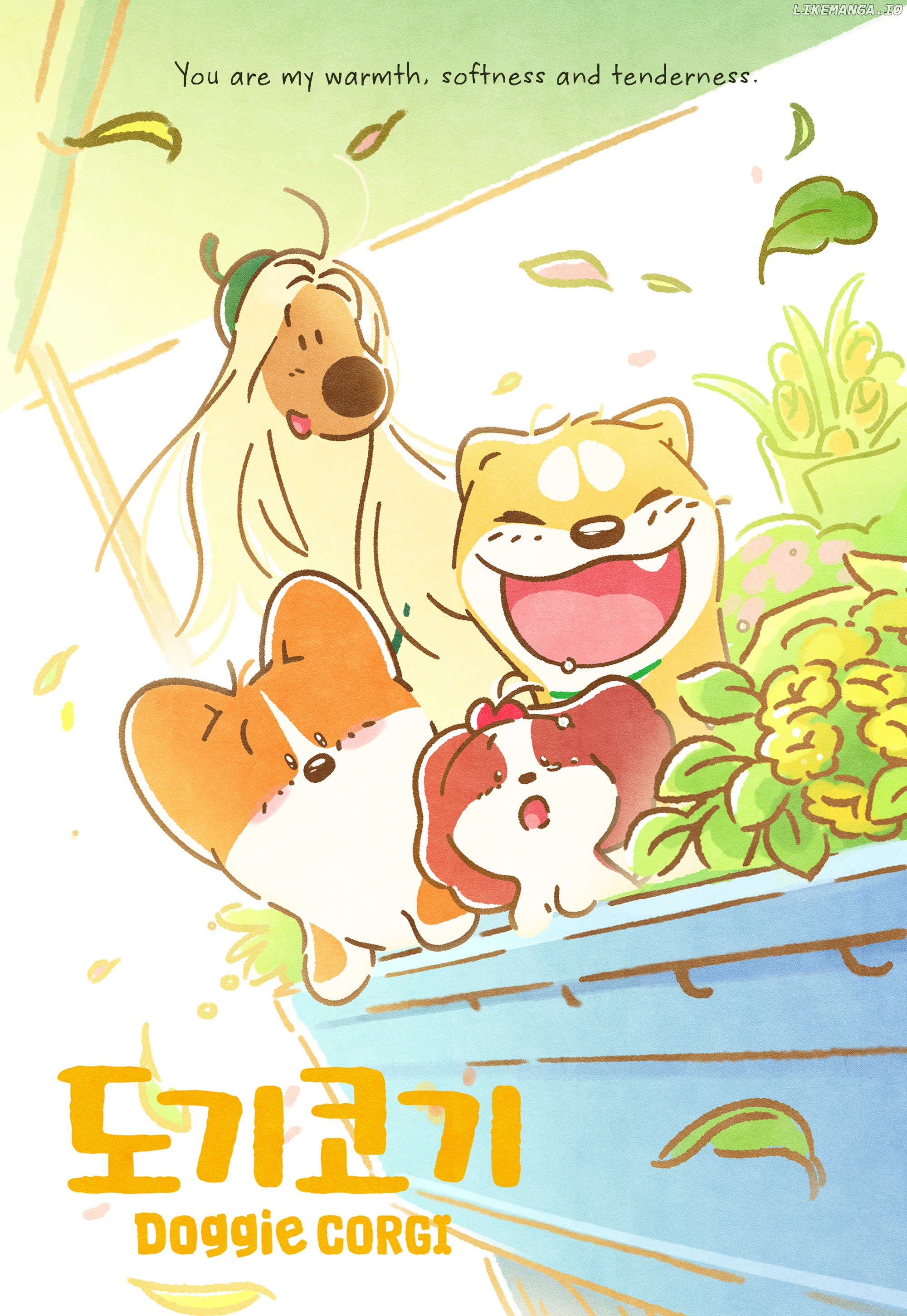 Doggie Corgi chapter 12 - page 3
