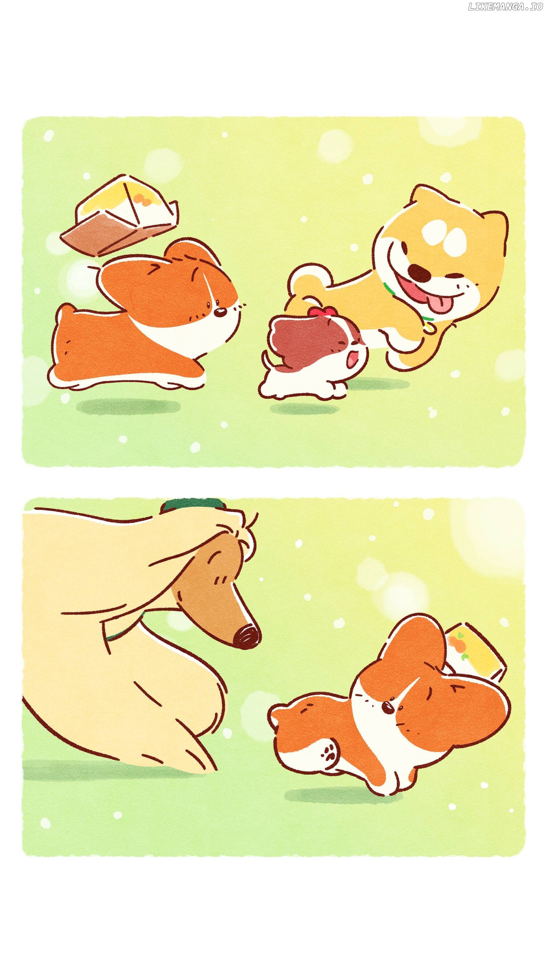 Doggie Corgi chapter 12 - page 5